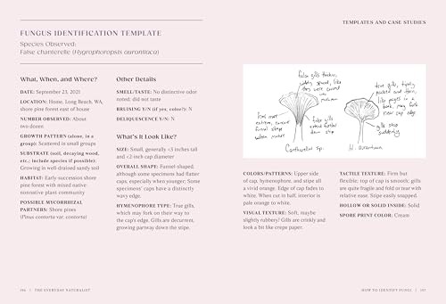 The Everyday Naturalist: How to Identify Animals, Plants, and Fungi Wherever You