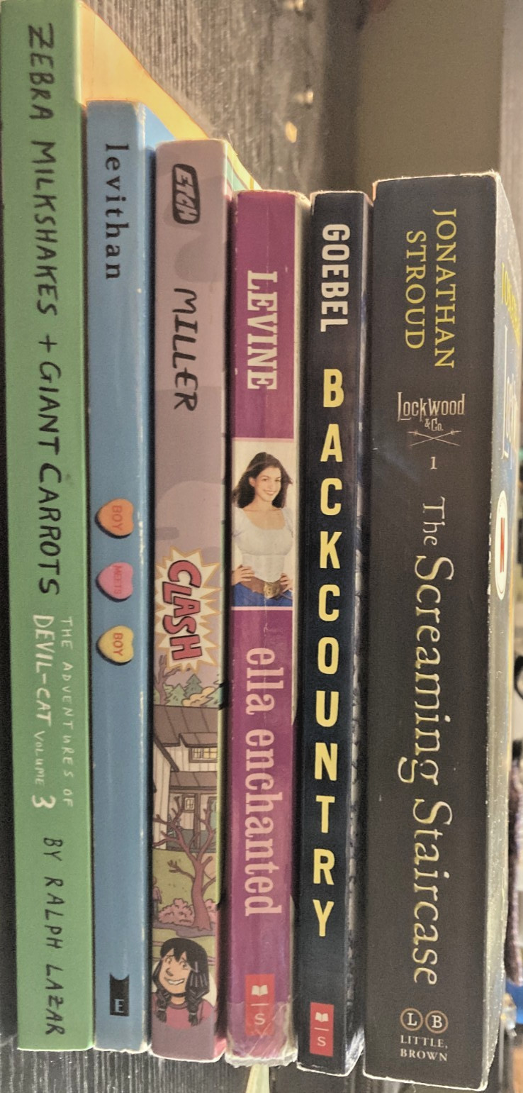 6 Young Adult Books,3 lbs 8 OZ, Popular Titles