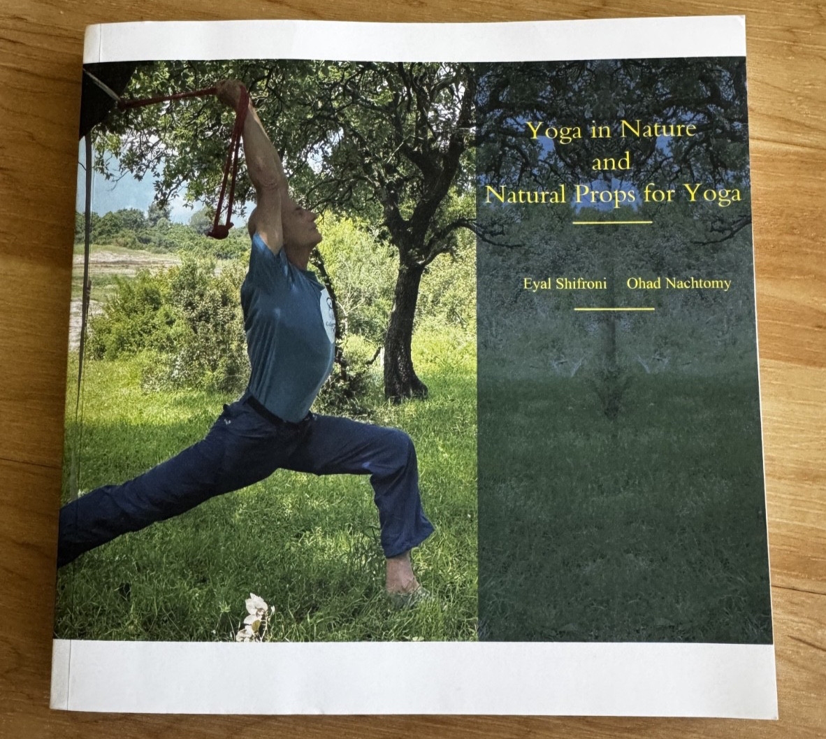 Yoga in Nature and Natural Props for Yoga