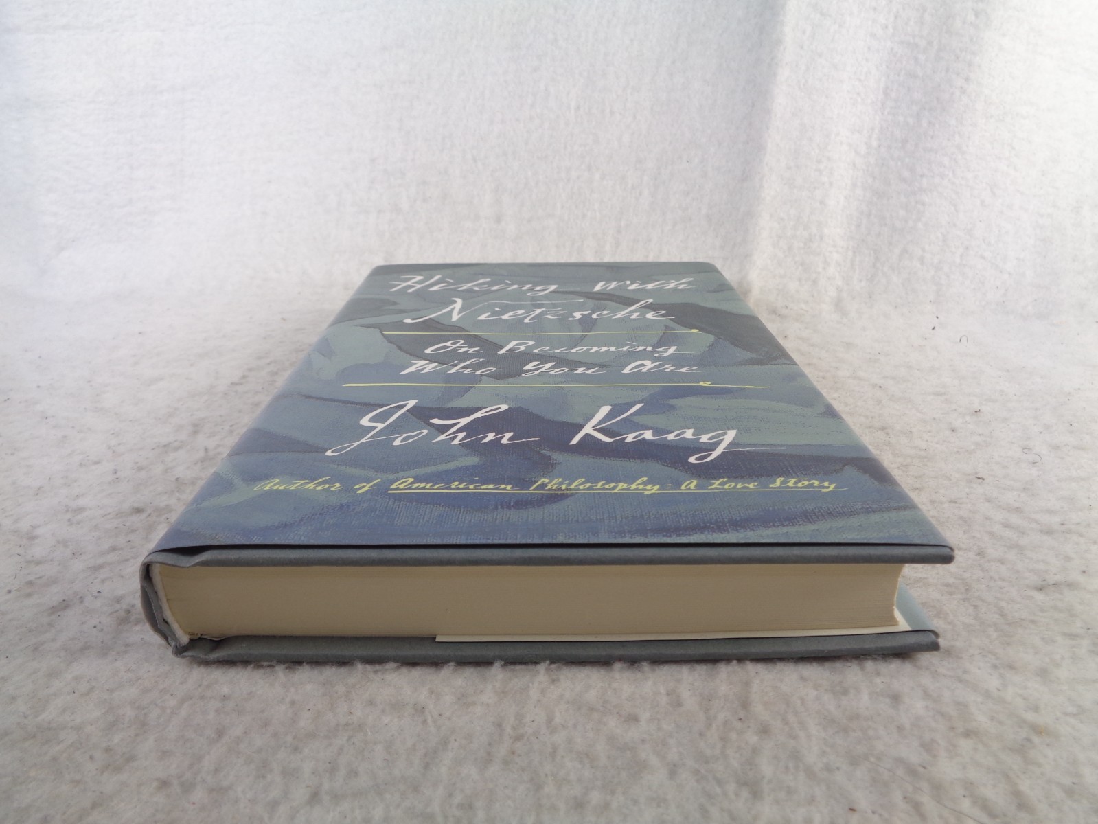 Hiking with Nietzsche On Becoming Who You Are John Kaag HC DJ 1st Ed 2018 Book