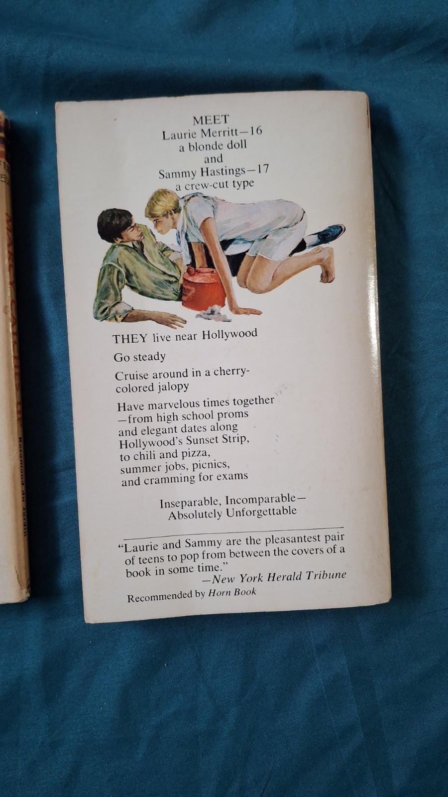 Vintage Books Lot 3 Teenage Girl Novels Berkley Highland collection Series OBO