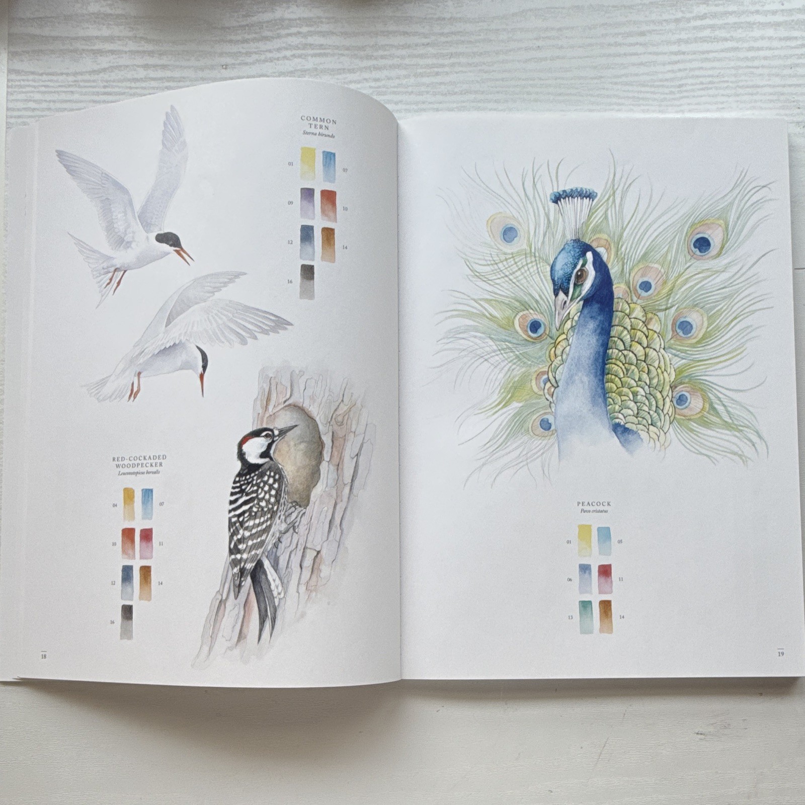 Emma Faull Birds Watercolor Art Pad, White Art Paper for Painting