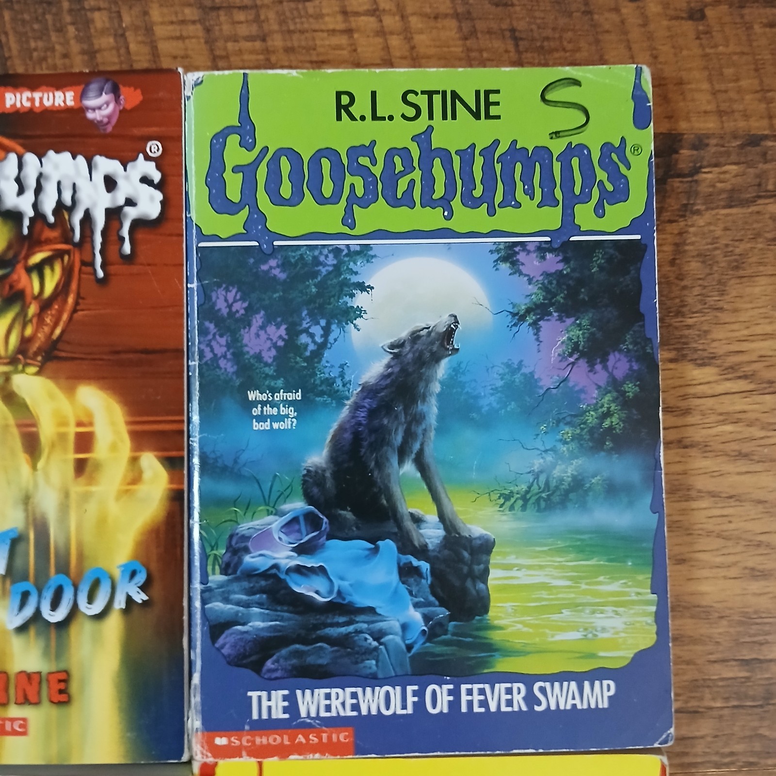 90s/2000’s Lot of 14 Scholastic (4) 1st Printing Goosebumps Books RL Stine