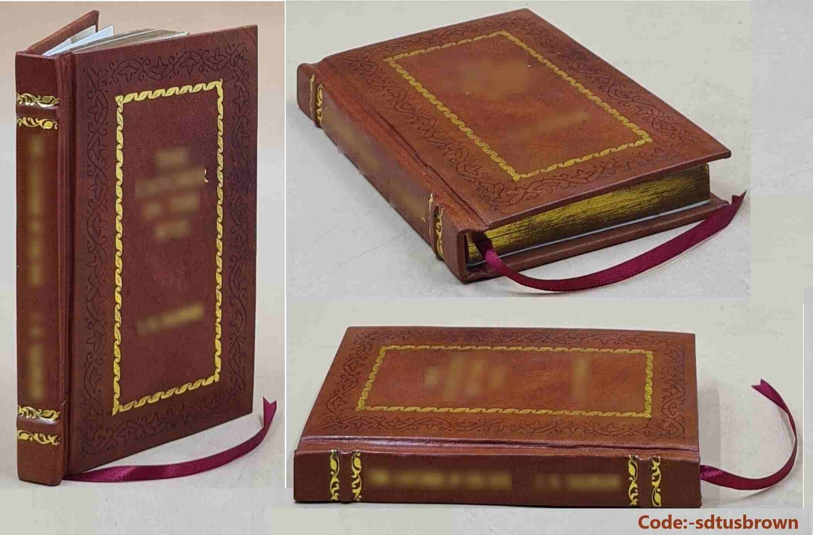 Carmilla [PREMIUM LEATHER BOUND]