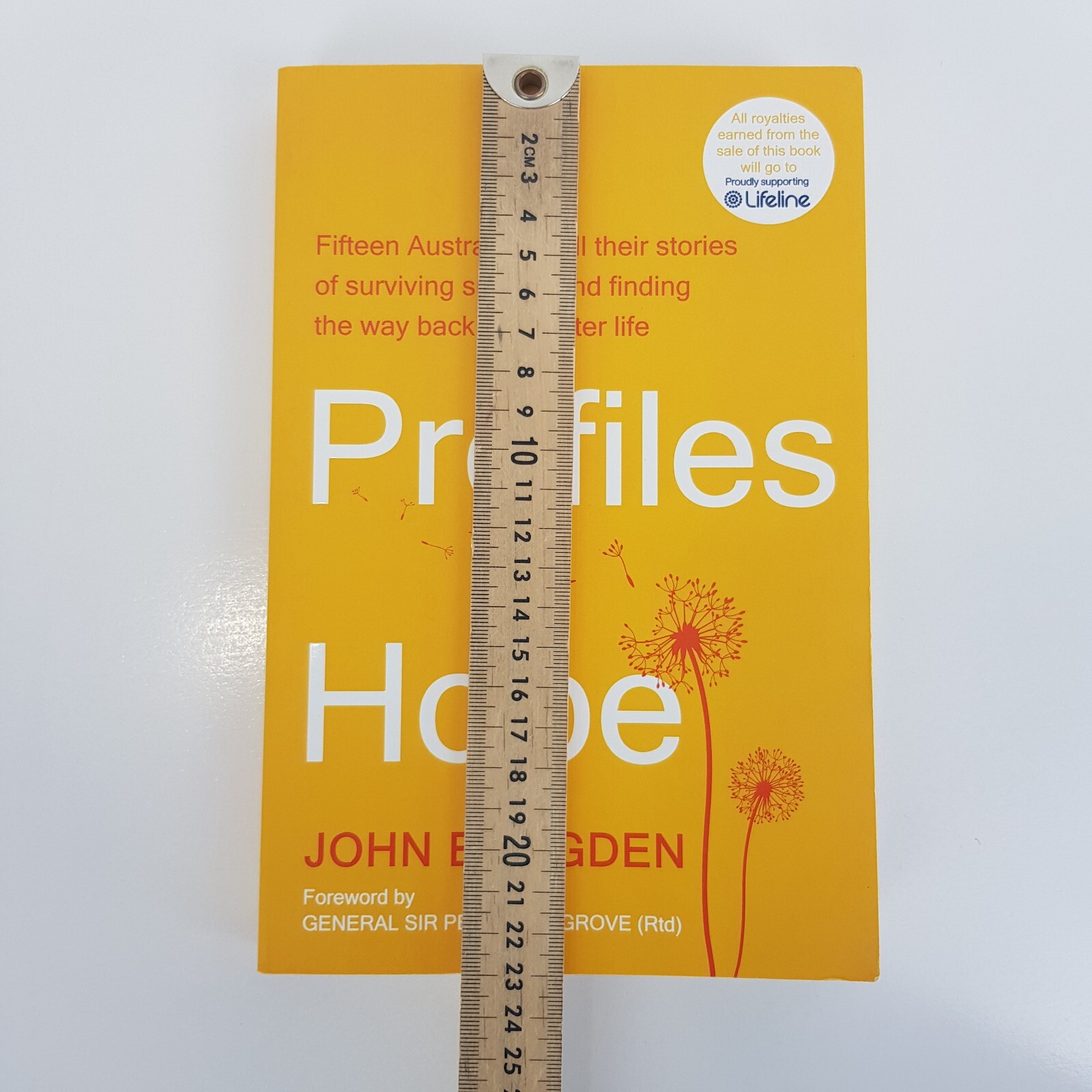 Profiles in Hope By John Brogden (Med PB 2024) Fifteen Stories Surviving Suicide