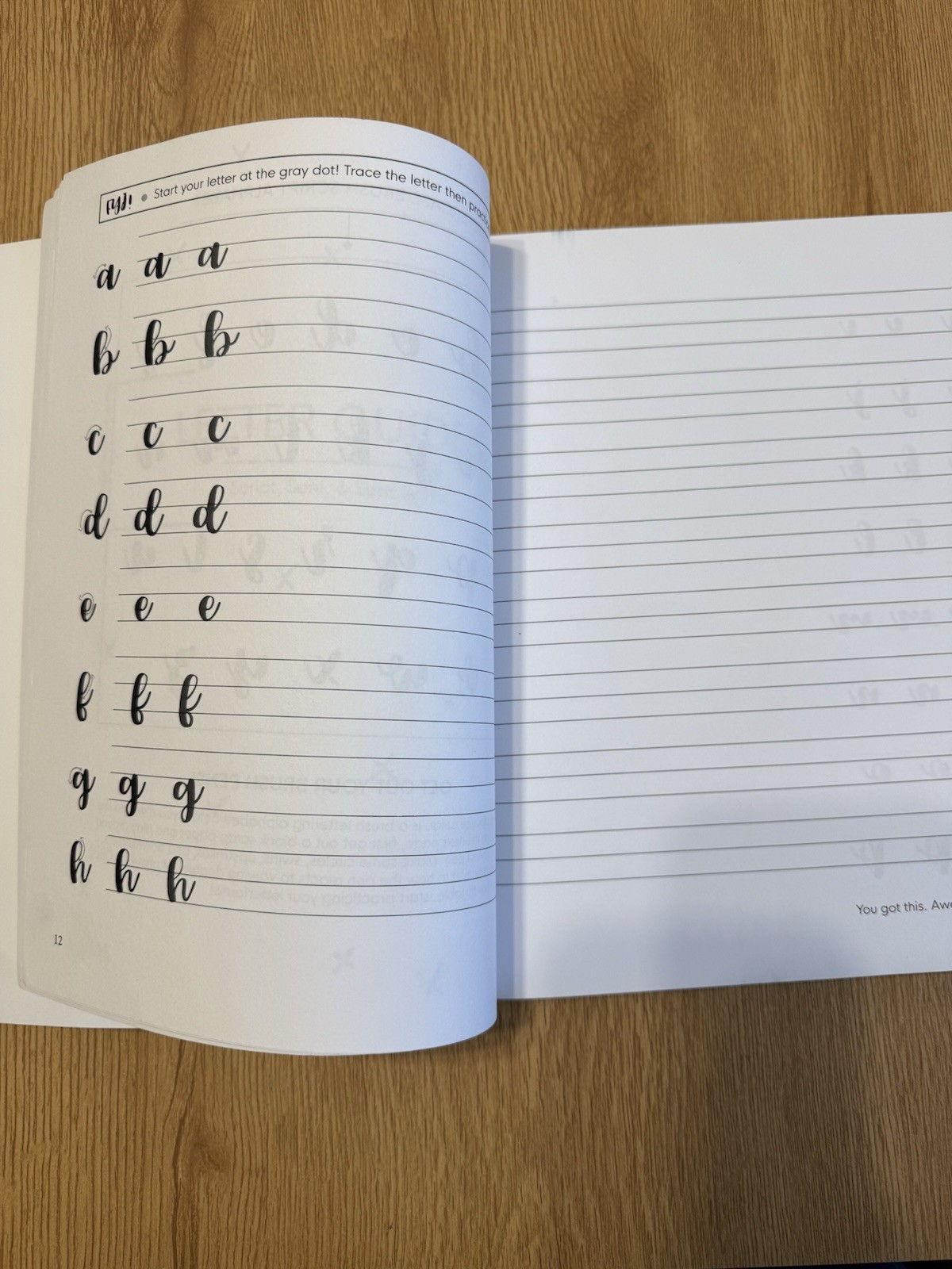 A Beginners Guide Lettering And Modern Calligraphy