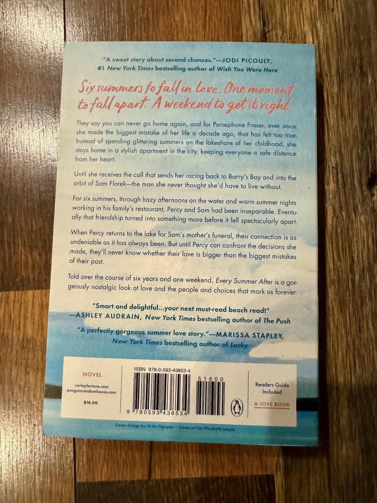 Lot Of Five (5) Paperback Books Mystery And RomCom Popular Titles