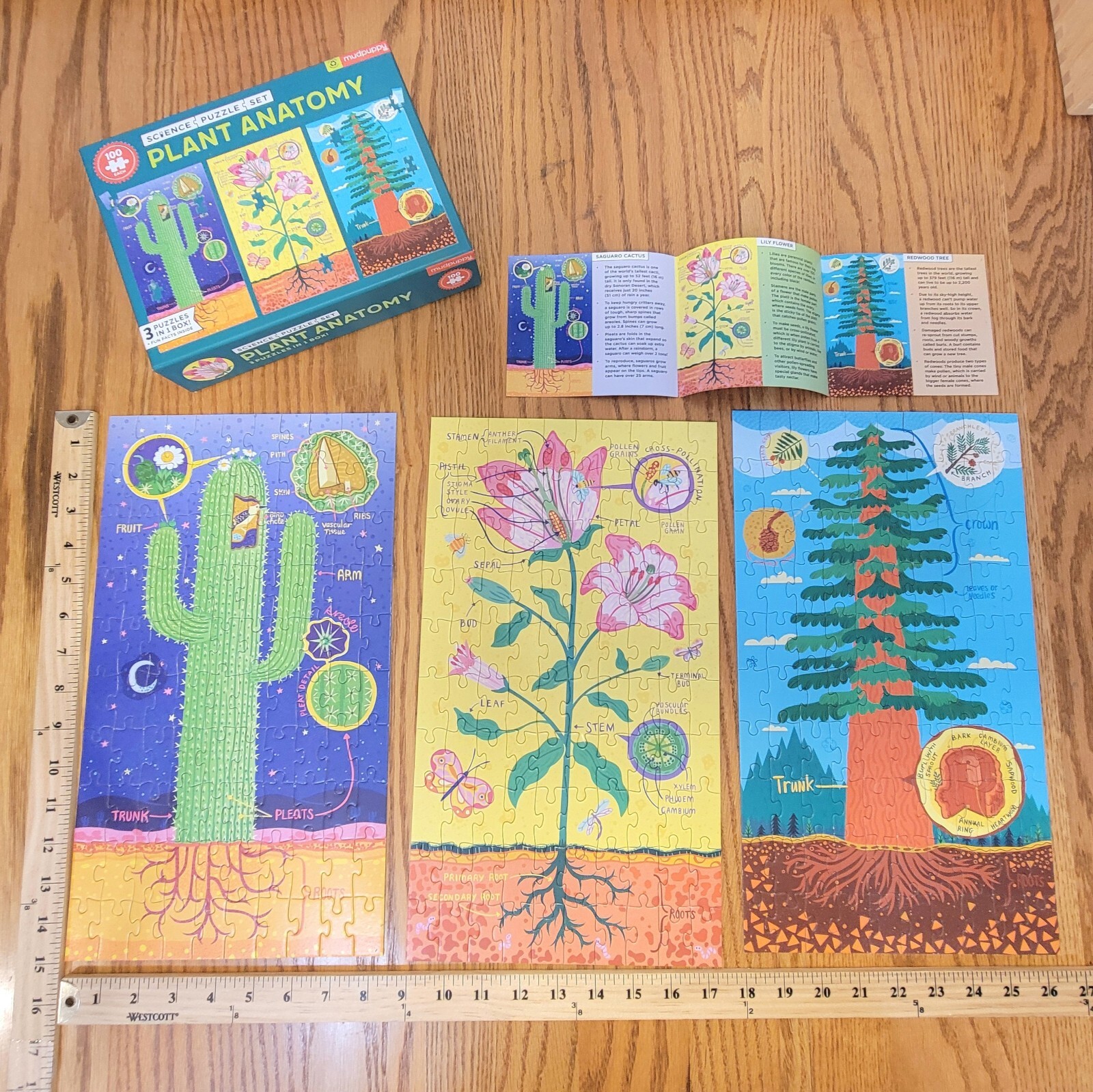 Plant Anatomy Puzzle (3 puzzles in 1 box) 100 Pcs Each Mudpuppy