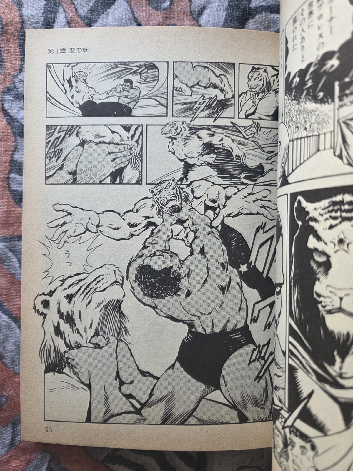 Kaze Shinobu Tiger Mask The Star 1993 Manga Japan UP Ckmics Action US Seller