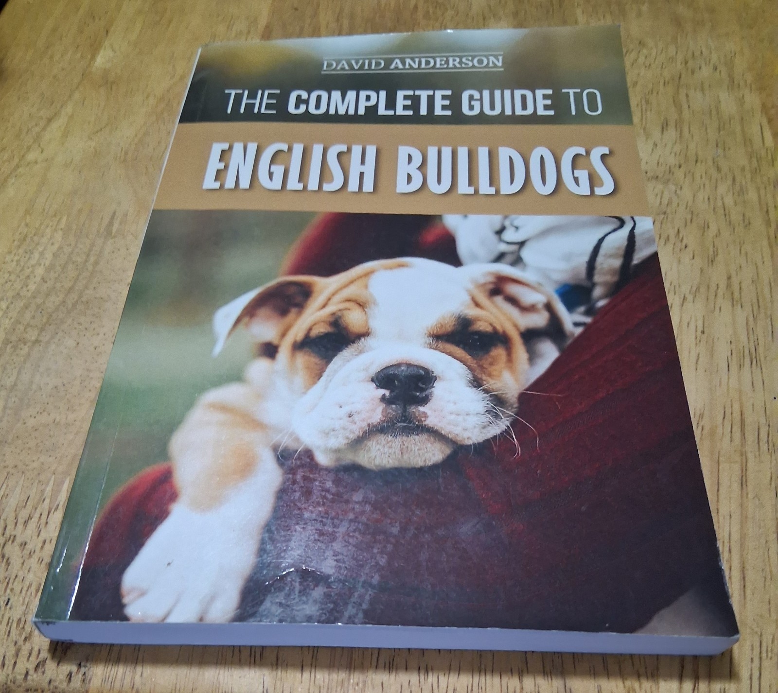 The Complete Guide to English Bulldogs Pre-owned In good Condition