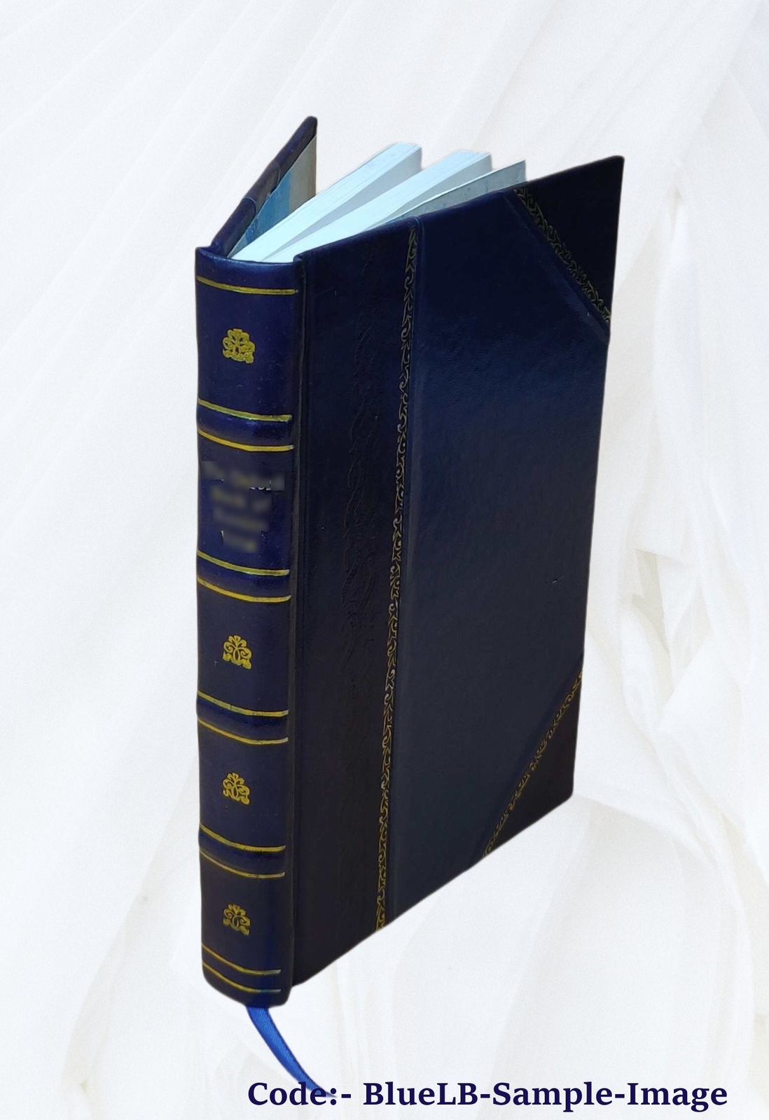 La Conqu?Te Du Cameroun 1Er Ao?T 1914 – 20 Fevrier 1916 1933 [Leather Bound]