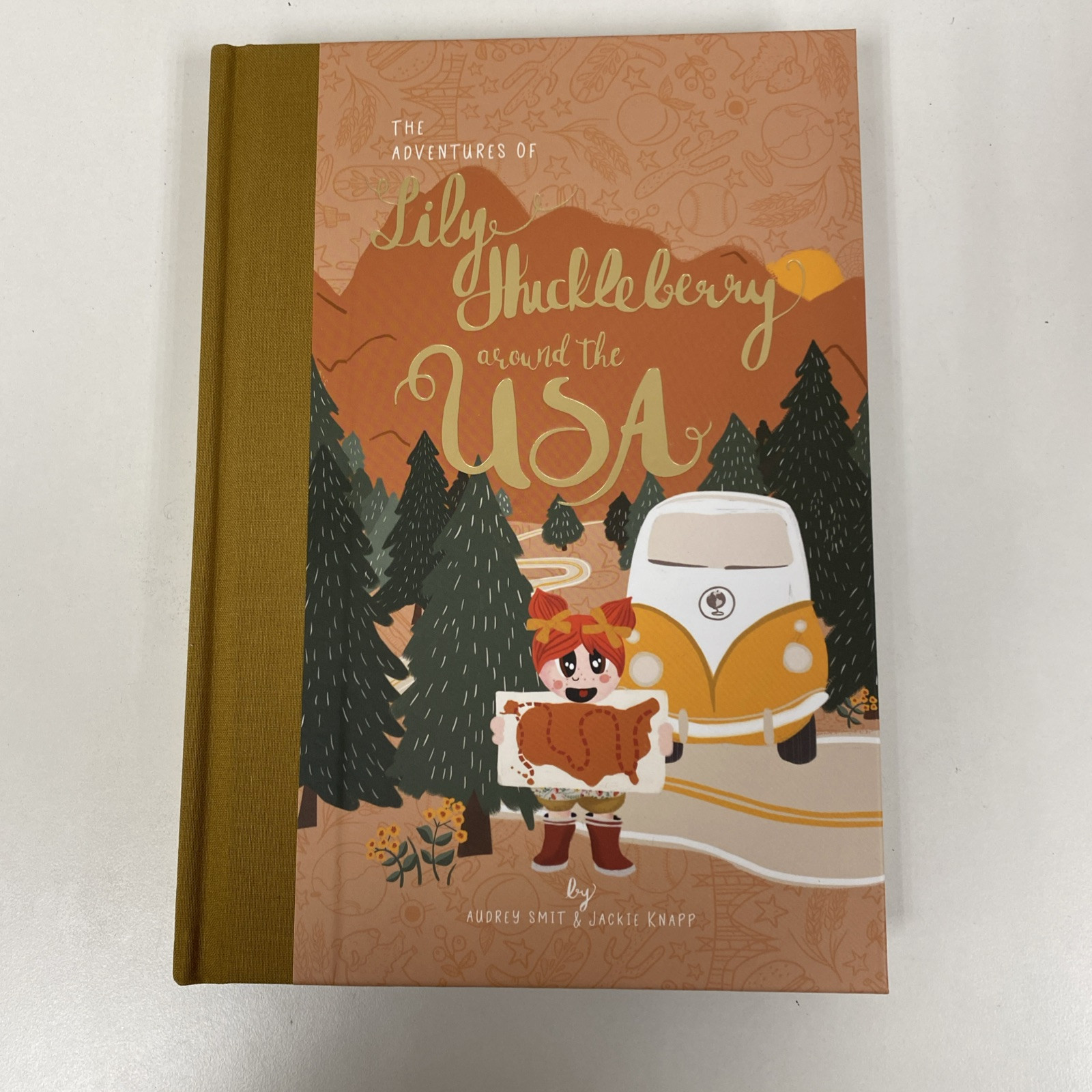 Adventures of Lily Huckleberry Around the USA by Audrey Smit and Jackie Knapp…
