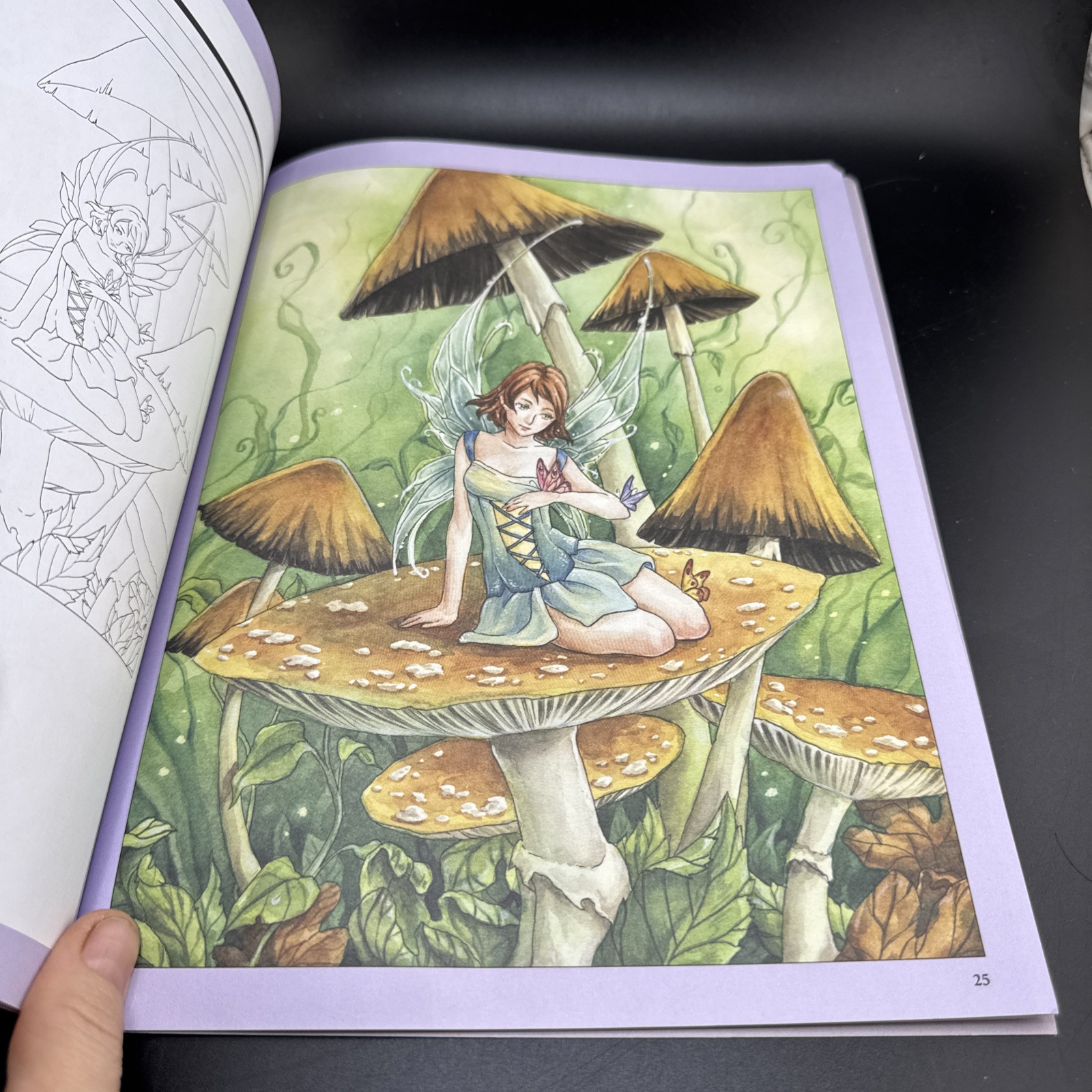 Fairies : Trace Line Art onto Paper or Canvas, and Color or Paint Your Own…