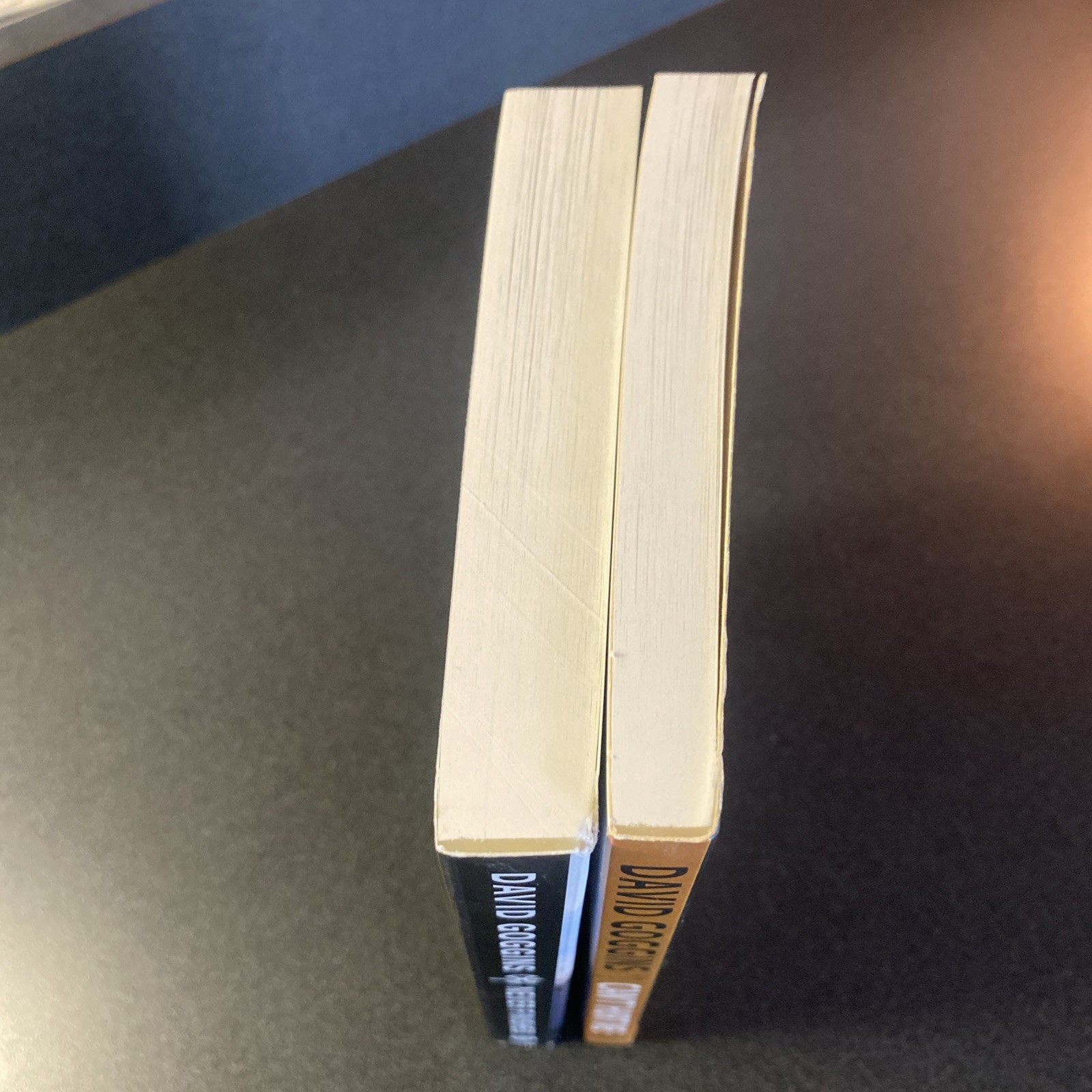 David Goggins Paperback Book Lot – Can’t Hurt Me + Never Finished “like newish”.