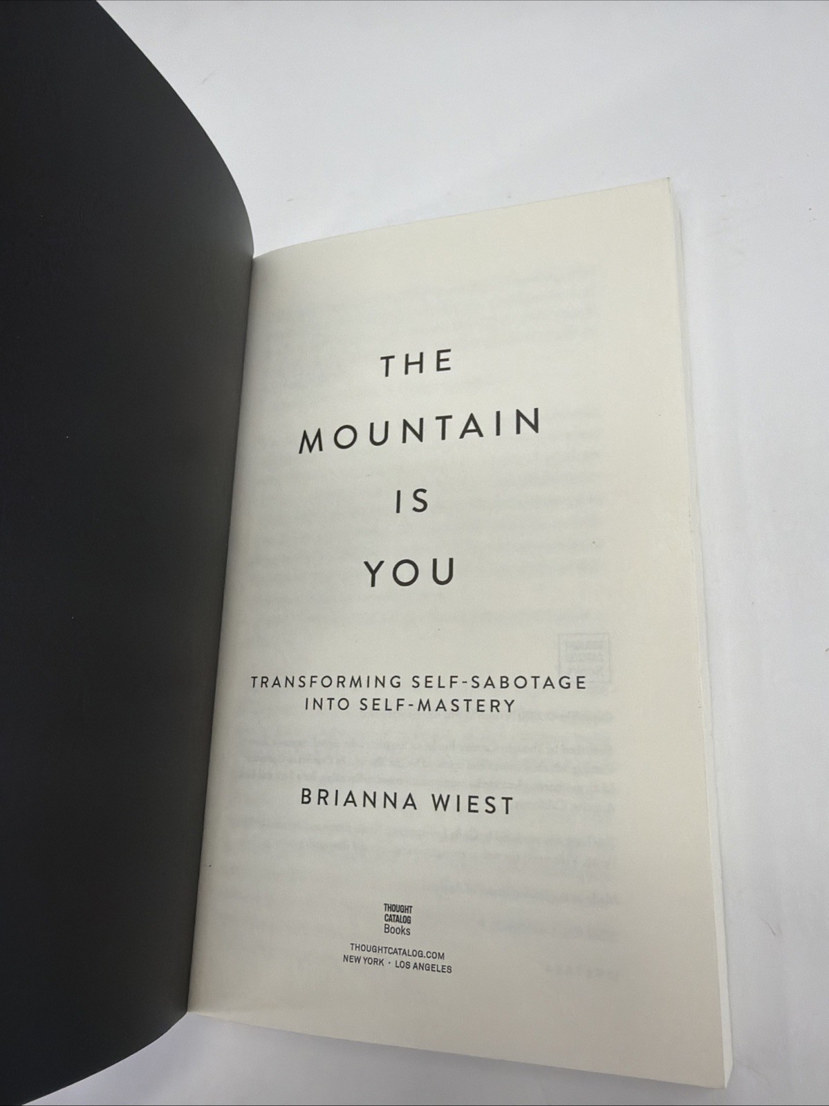 The Mountain is you by Brianna Wiest Paperback Book