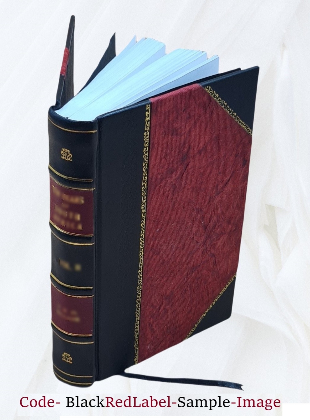 Buddhism Primitive And Present In Magadha And Ceylon 1908 [Leather Bound]