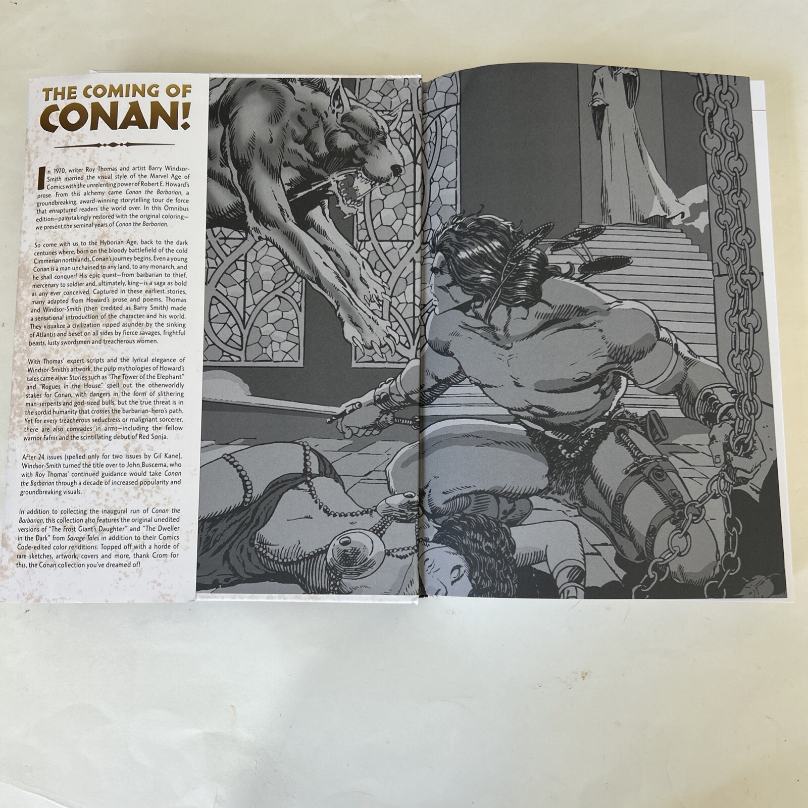 Marvel Comics Omnibus Conan the Barbarian #1-HC book-dust jacket-Roy Thomas