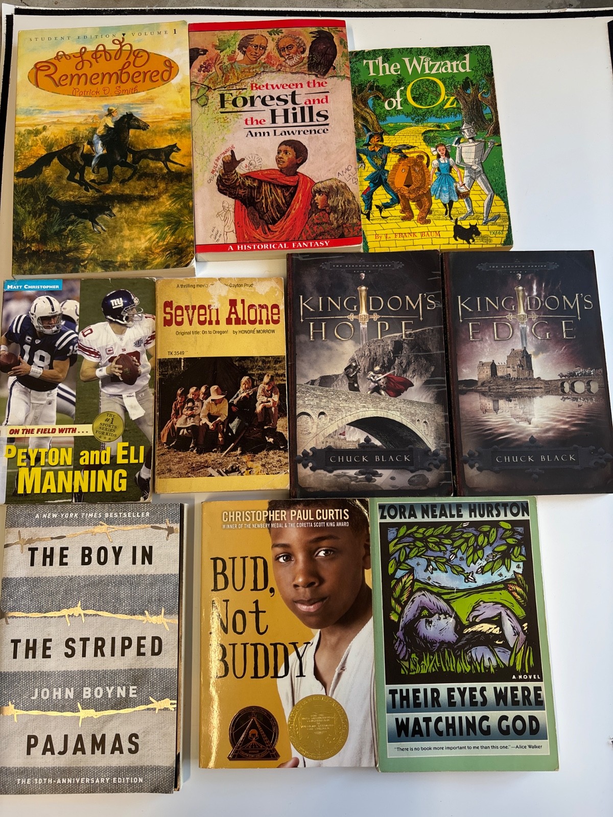 Lot of 10 book The wizard of Oz, Kingdoms Hope & Edge, Bud not Buddy and more