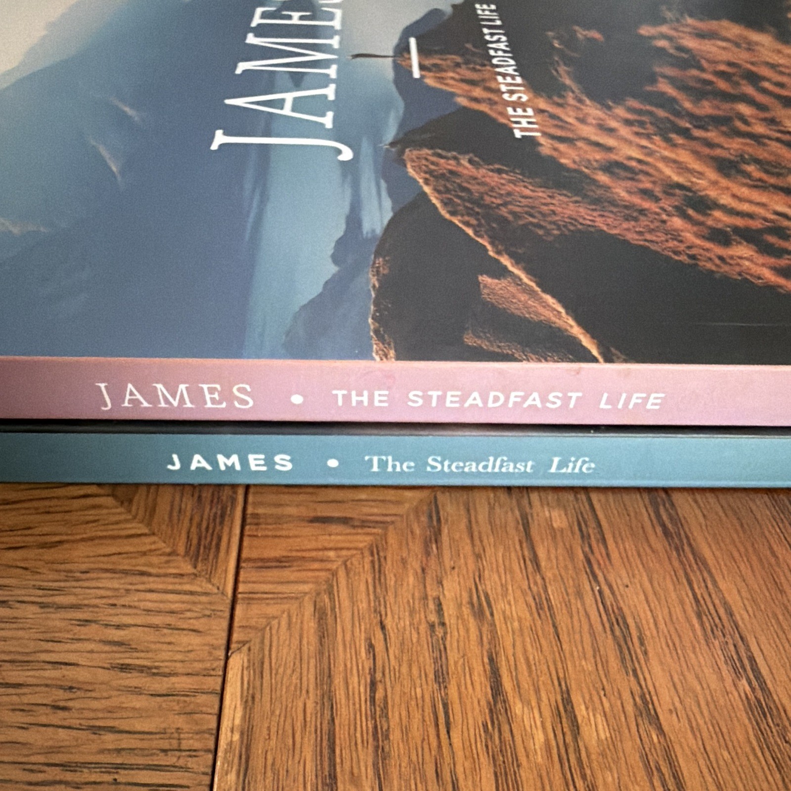 The Daily Grace Co. James: The Steadfast Life Schmucker PB 2017 Study Guide