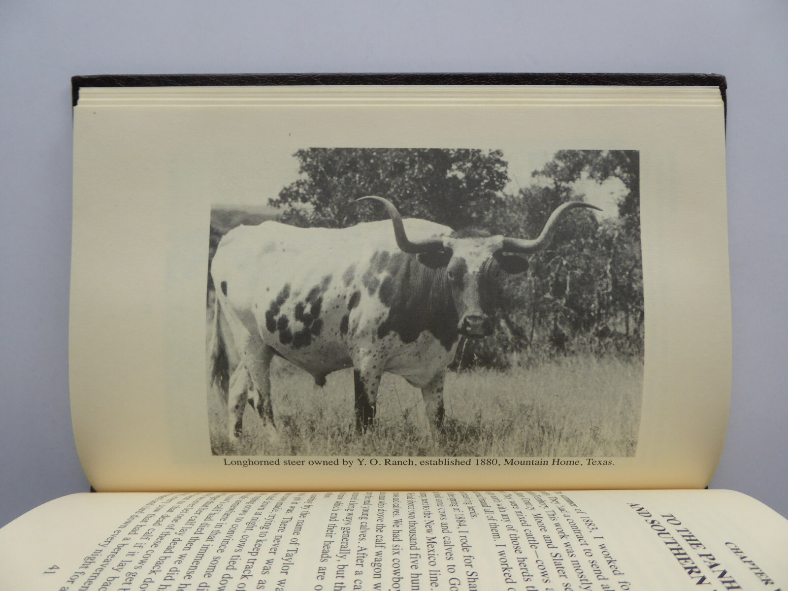 BOB FUDGE Texas Trail Driver Montana-Wyoming Cowboy 1862-1933 JIM RUSSELL