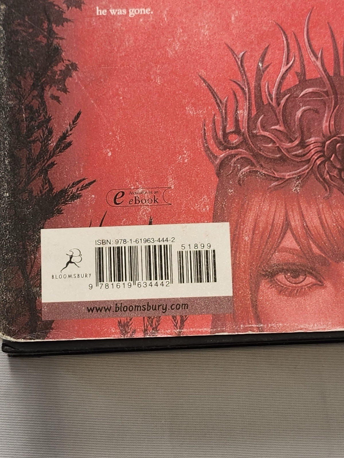 A Court of Thorns and Roses by Sarah J Maas First Edition 2015 Hardcover