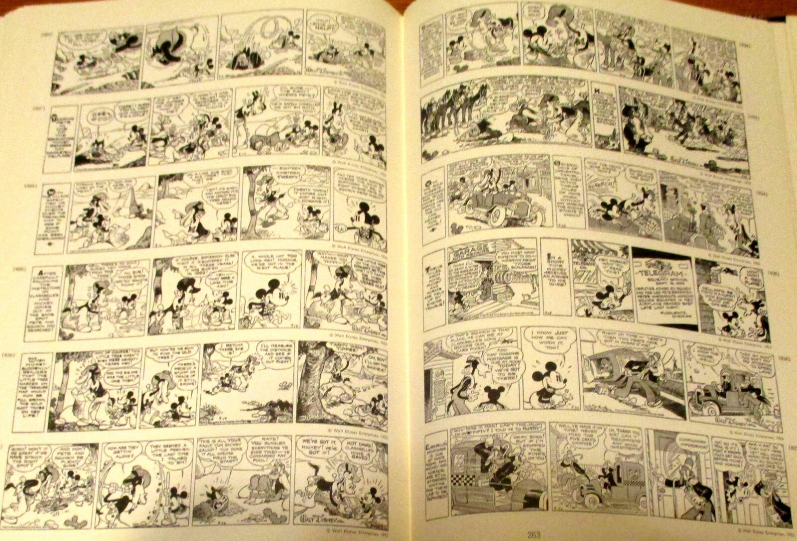 1977 The Smithsonian Collection of Newspaper Comics Hardcover Book 336 Pages