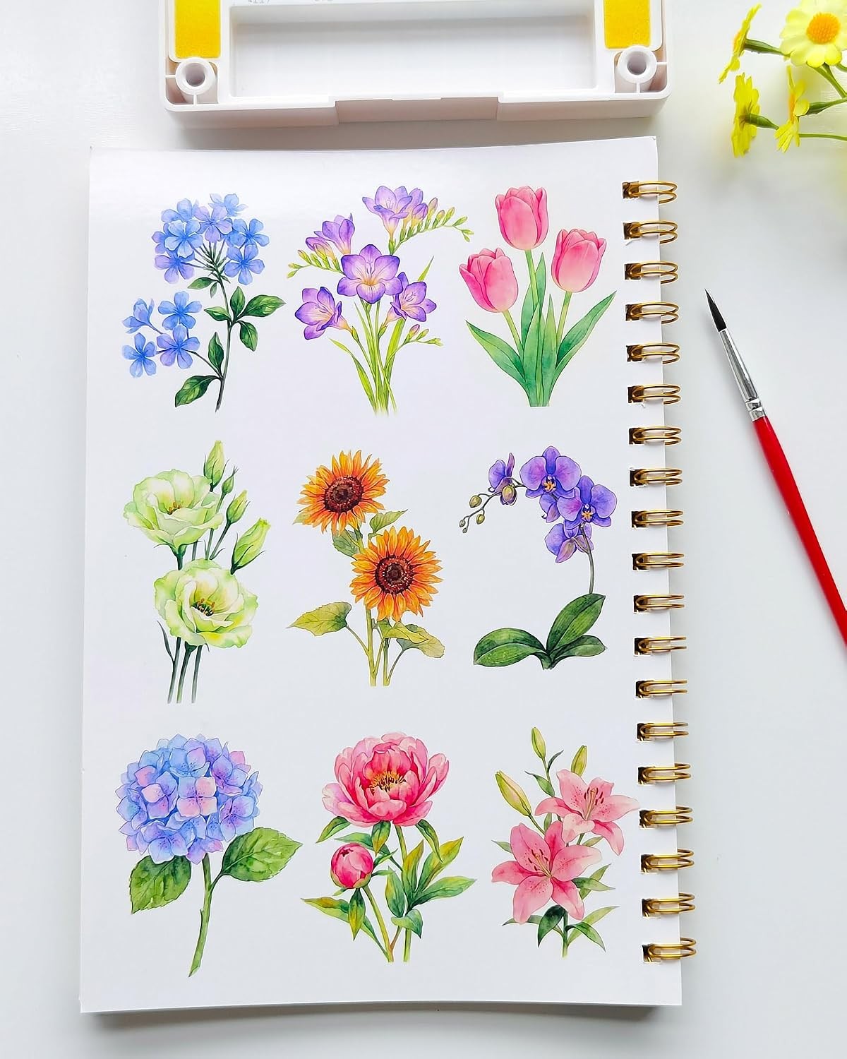 Watercolor Workbook 15 Beautiful Flowers Paintings for Adults &Teens Beginners,W