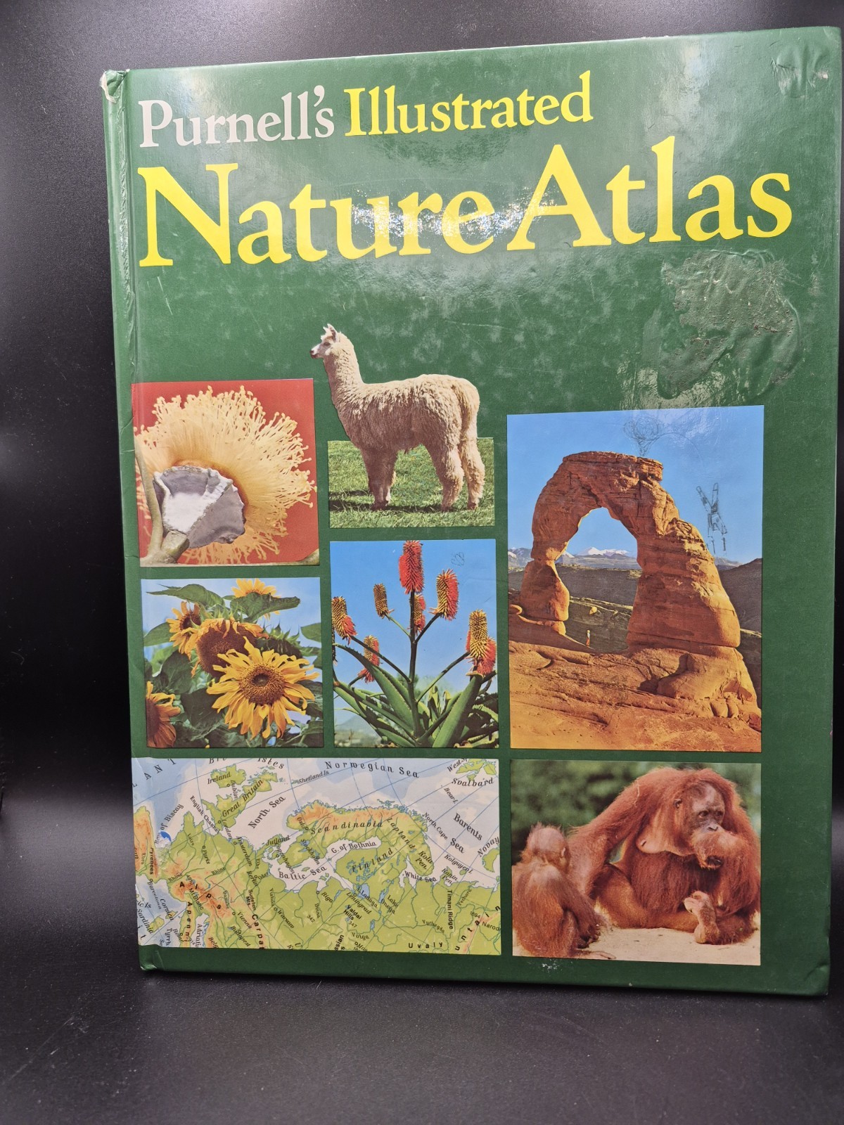 Purnell’s Illustrated Nature Atlas. Edited by Norman Barrett. Vintage book, 1980