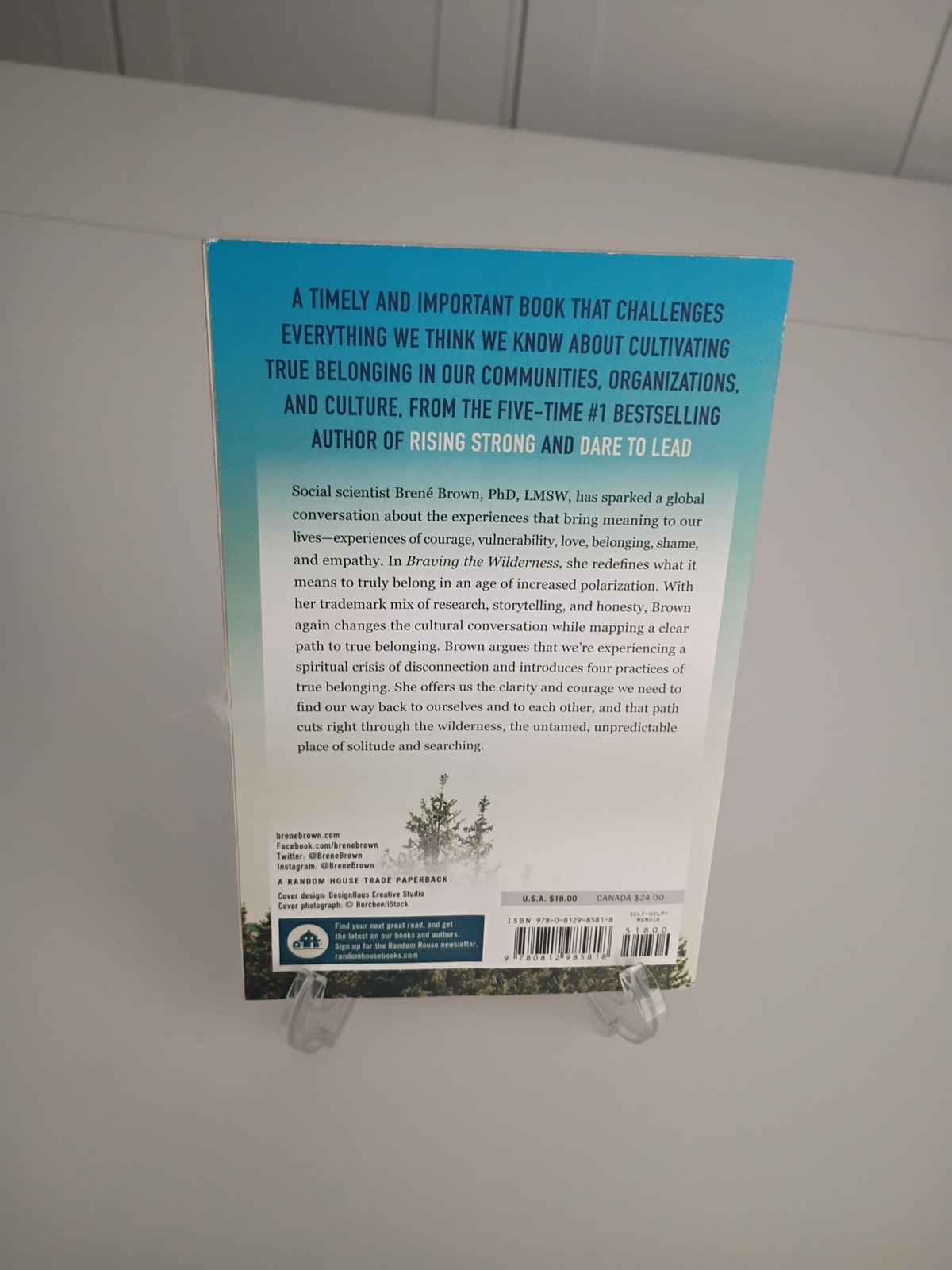 New Braving The Wilderness Brene Brown NY Times Bestseller Soft Cover