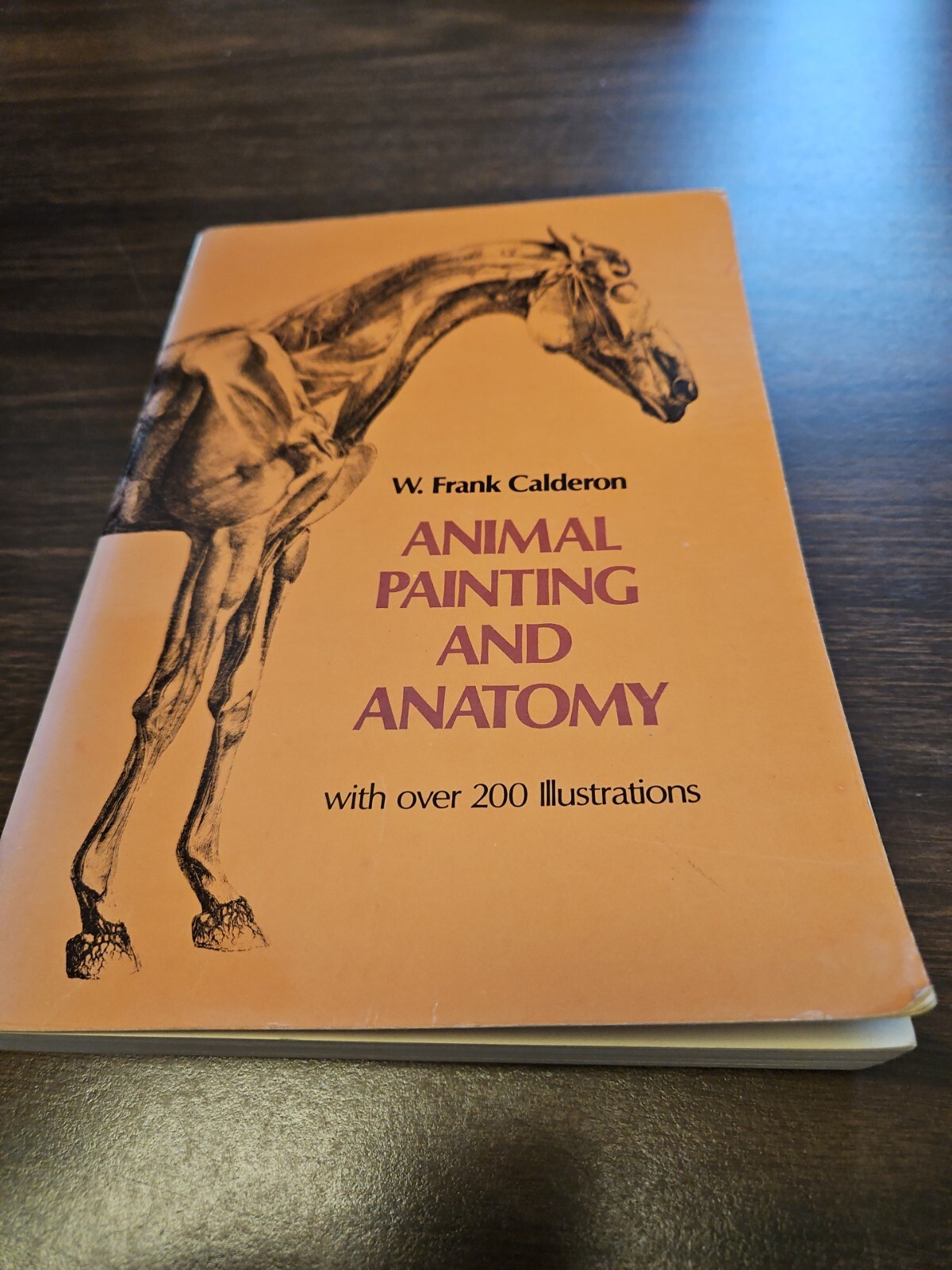 Animal Painting and Anatomy Soft Cover Book 336 pages with 200 illustrations
