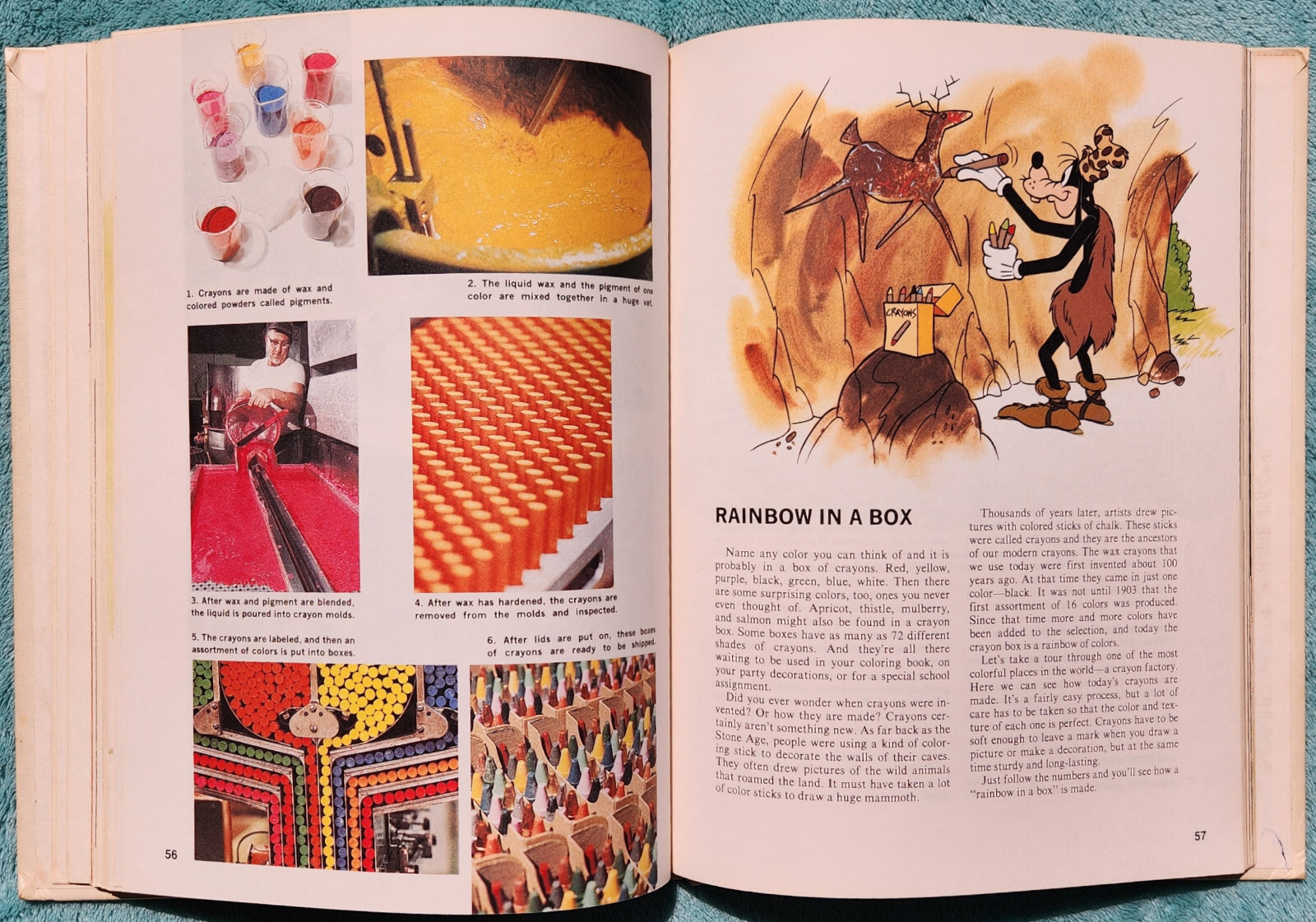 Disney’s Wonderful World Of Knowledge 1978 Yearbook Hardcover 126 Pages