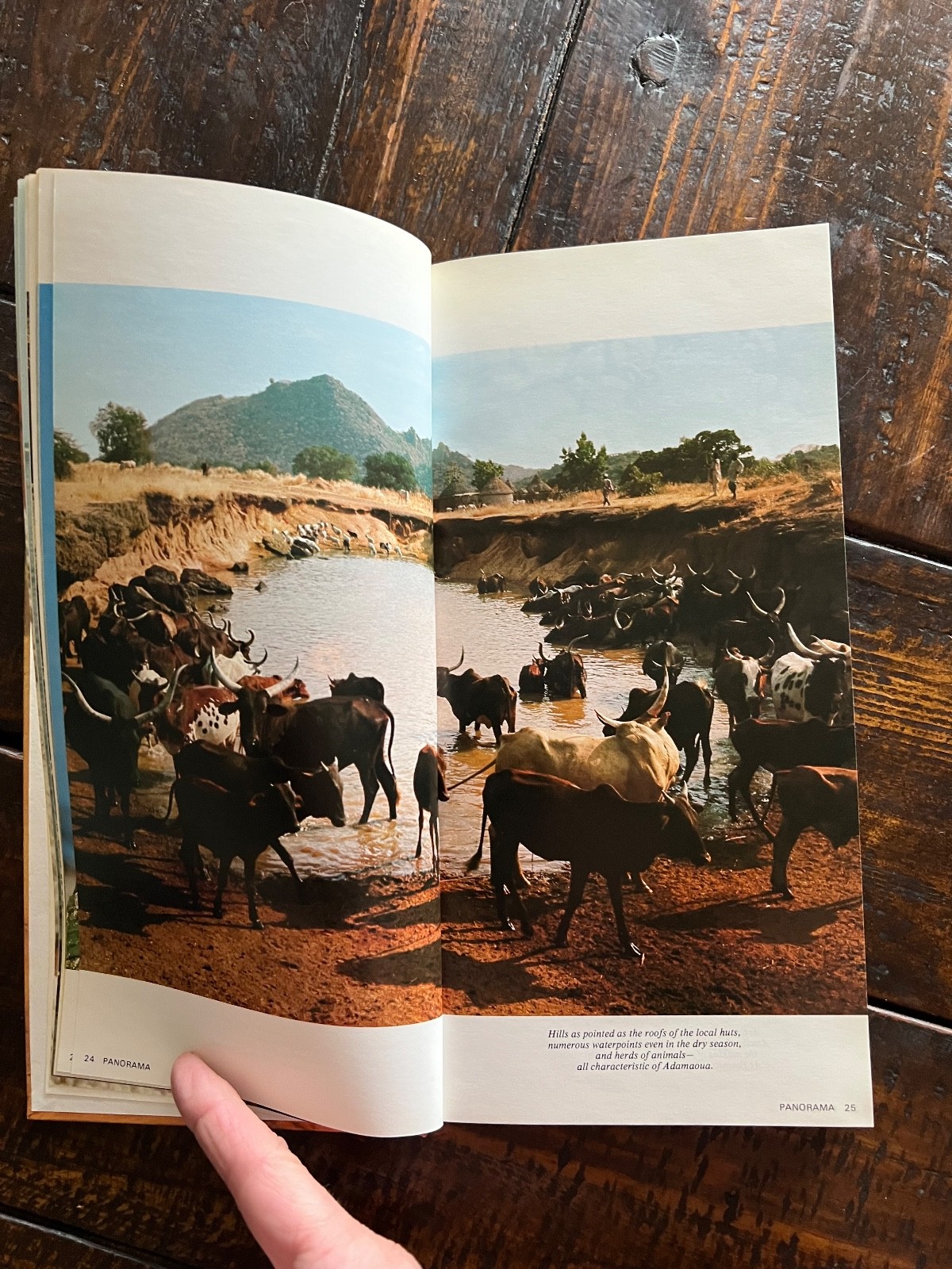 Cameroon Today by Anne Debel 1977