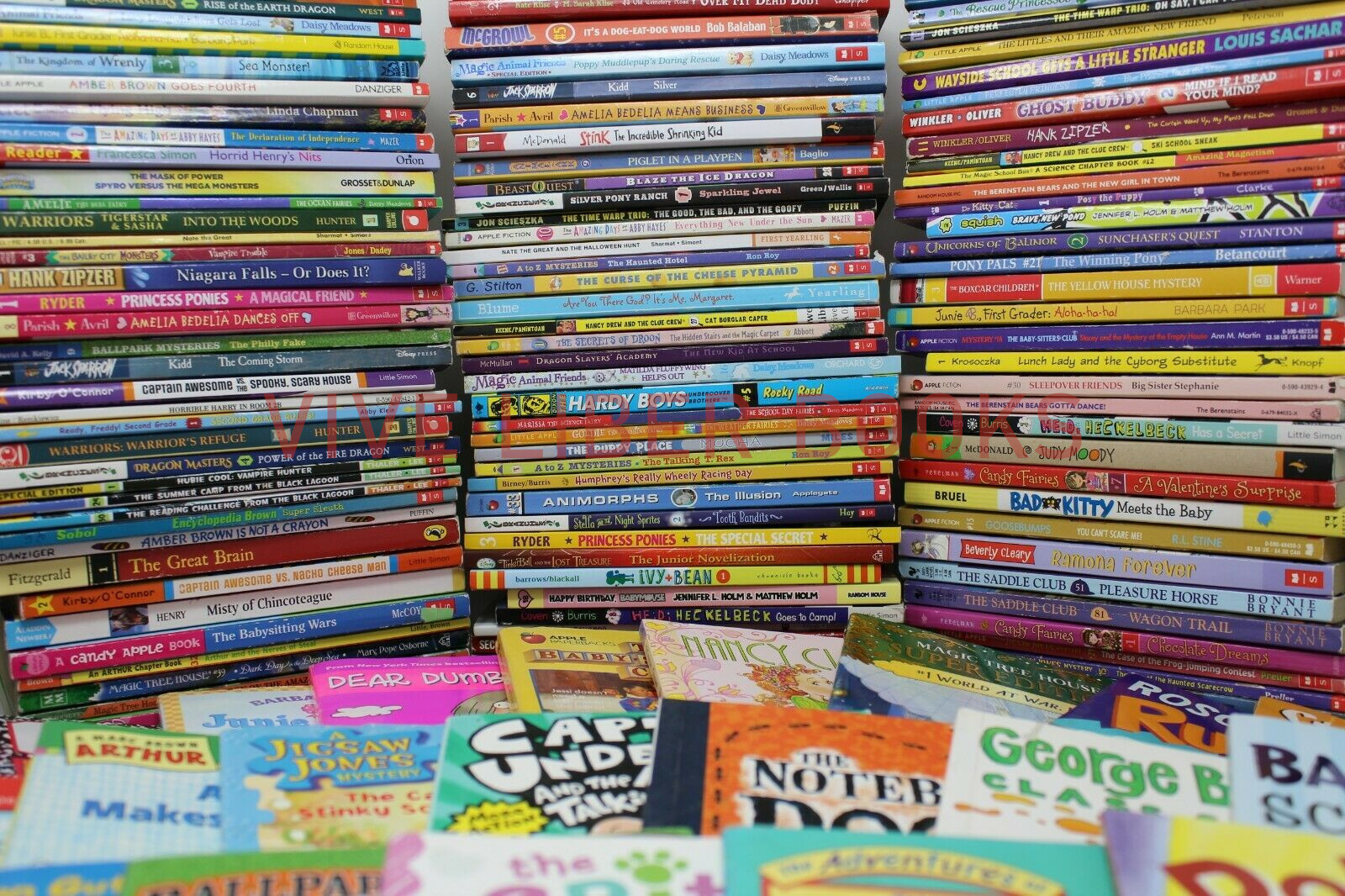 Bulk/Huge Lot of 100 of Children’s Kids Chapter Books – Random – Free Shipping!