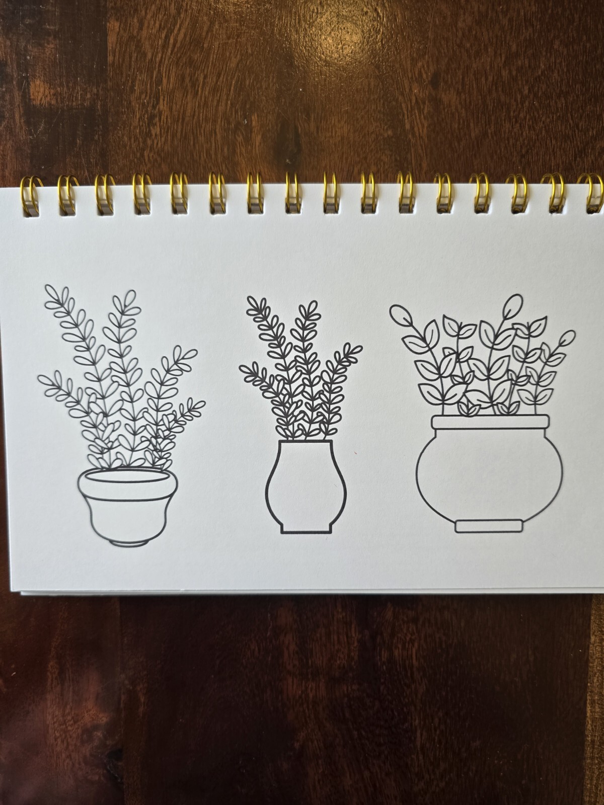 House Plants Coloring books for adults. A5 Size Coloring Book 8.5 in X 5.5 in.