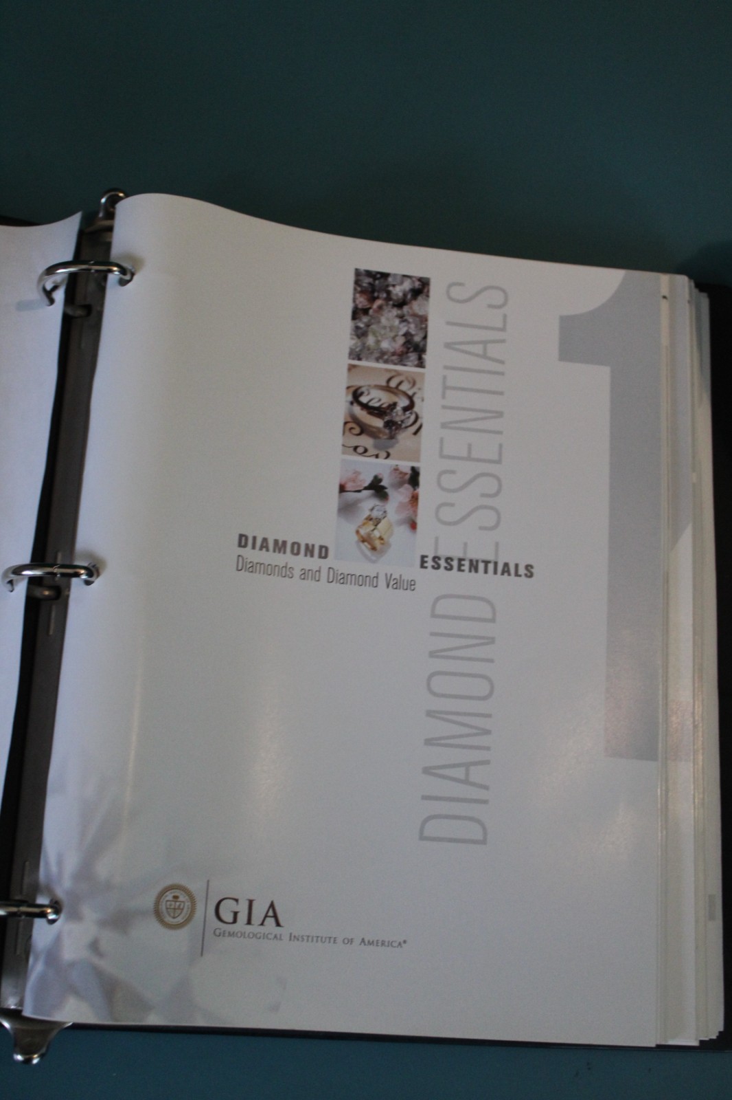 GIA Diamond ESSENTIALS Course 7 Modules IN Binder