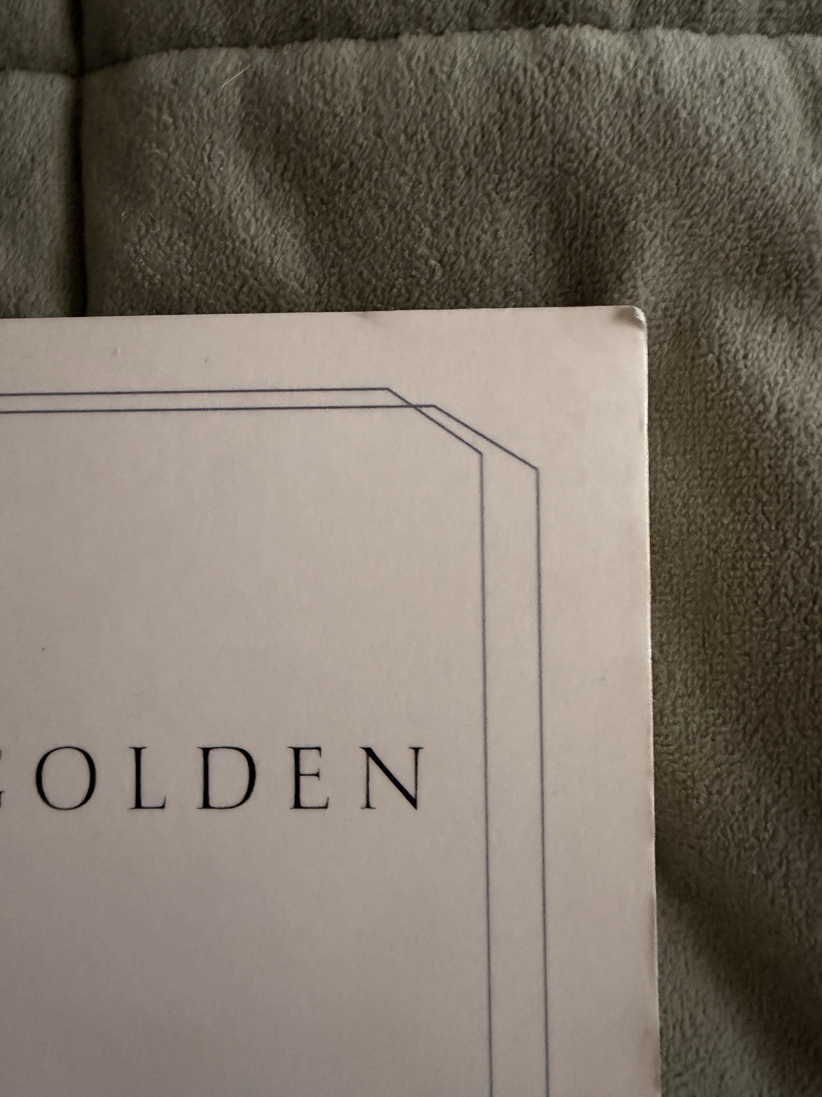 *Theo of Golden* By Allen Levi RARE SELF PUBLISHED 1st Edition Paperback