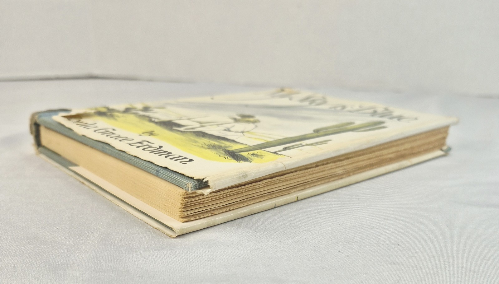 My Sky Is Blue By Loula Erdman 1st Edition 1953 HC DJ