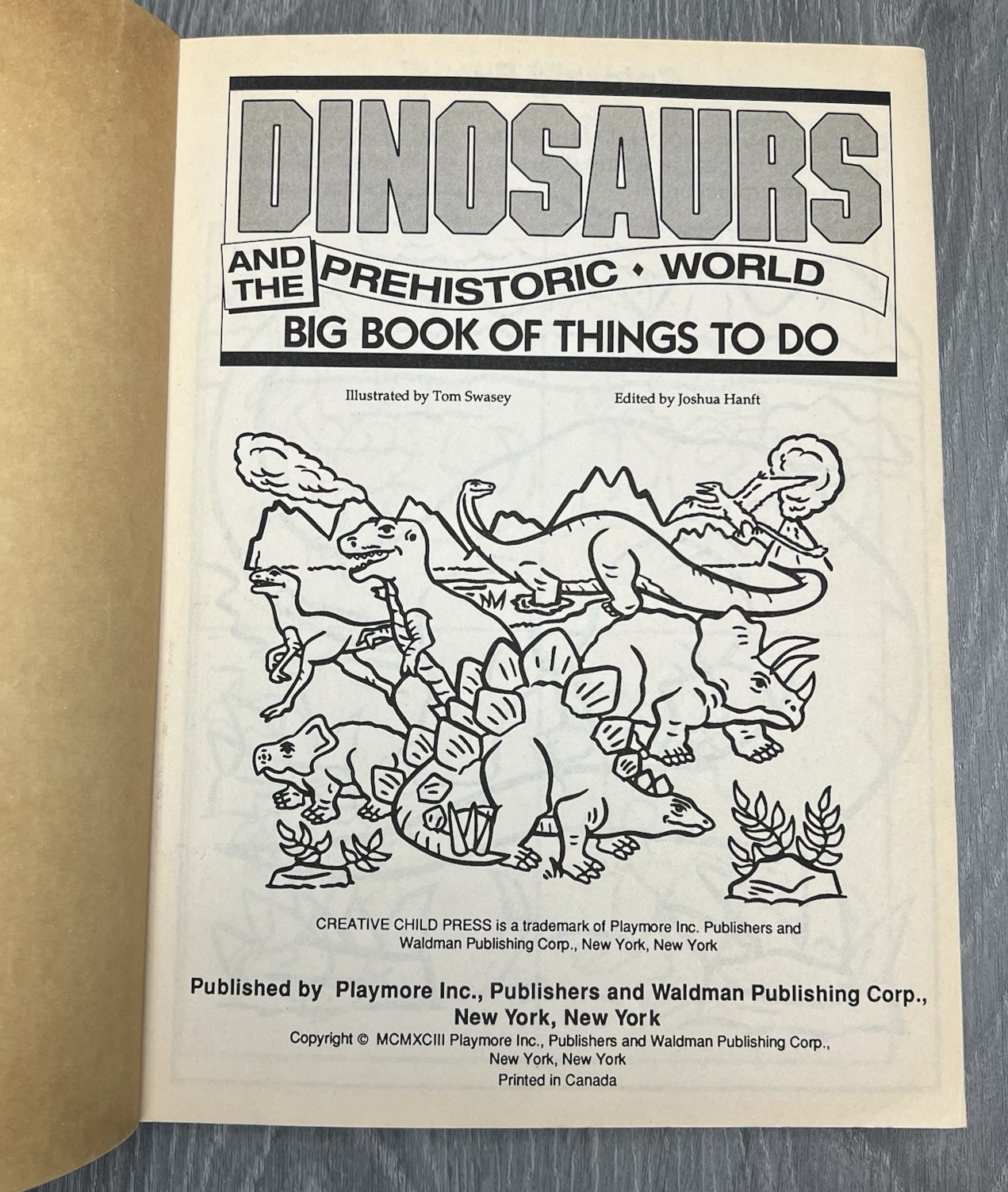 Dinosaurs Prehistoric World Coloring Activity Boom 1993 Vintage READ