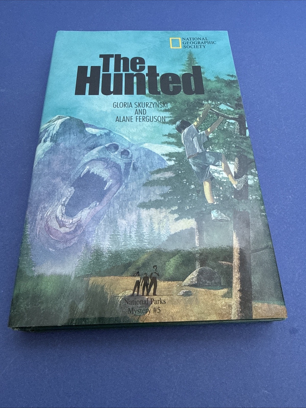 Lot of 10 ~ Hardcover Books ~ MYSTERIES IN OUR NATIONAL PARKS ~ #1-10 ~ VGC!