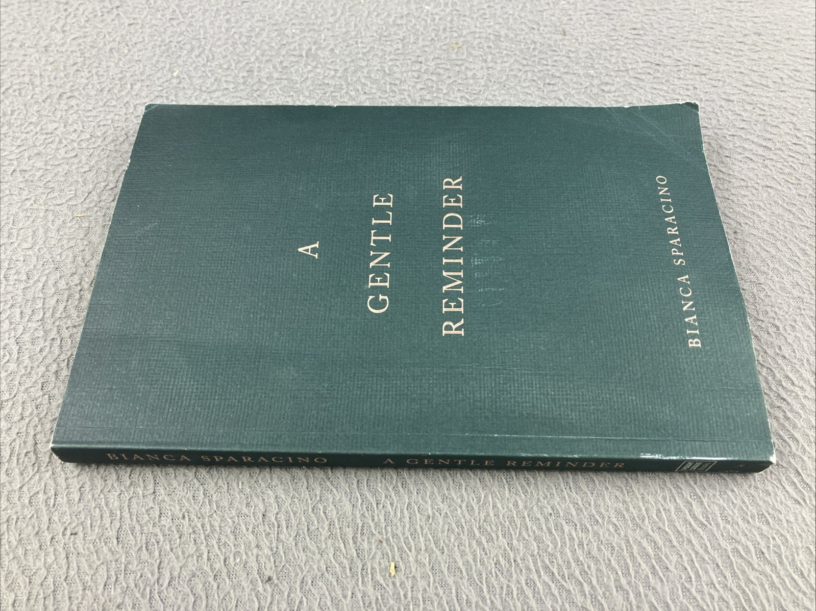 A Gentle Reminder 2020 Thought Catalog Books by Bianca Sparacino GOOD