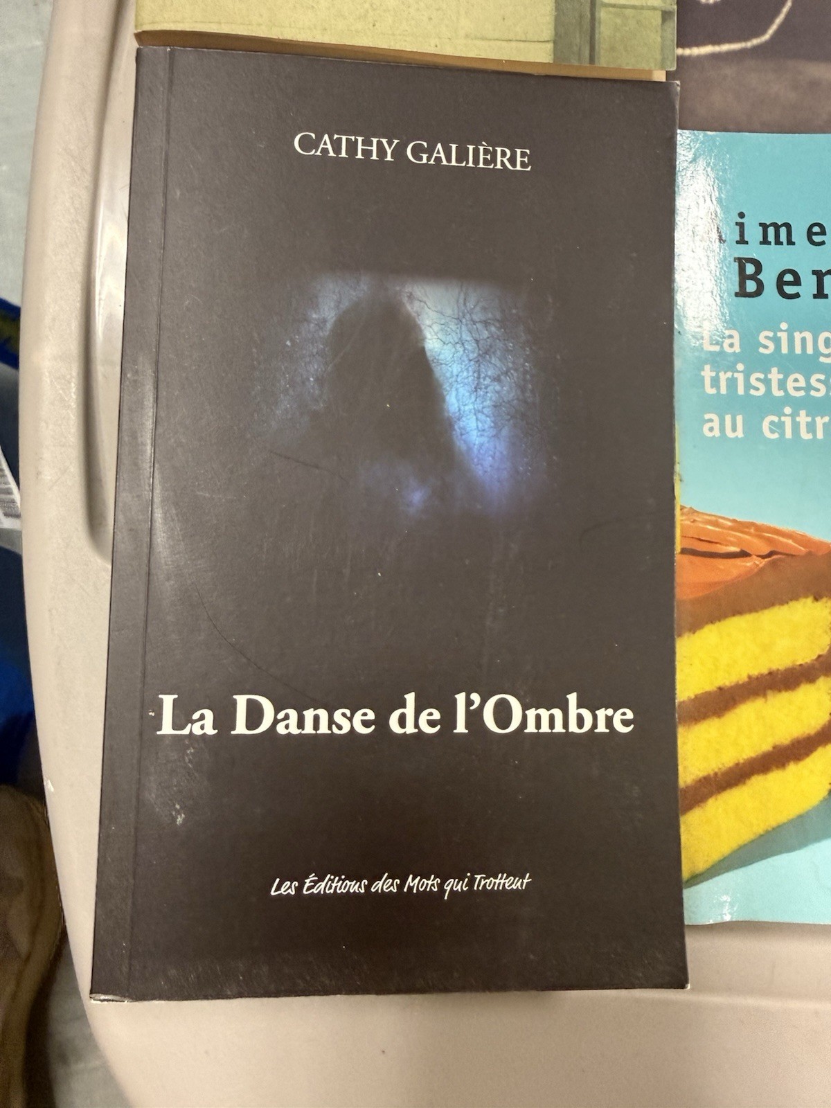 Lot of 10 books in the FRENCH Language Paperbacks. Mixed Genre