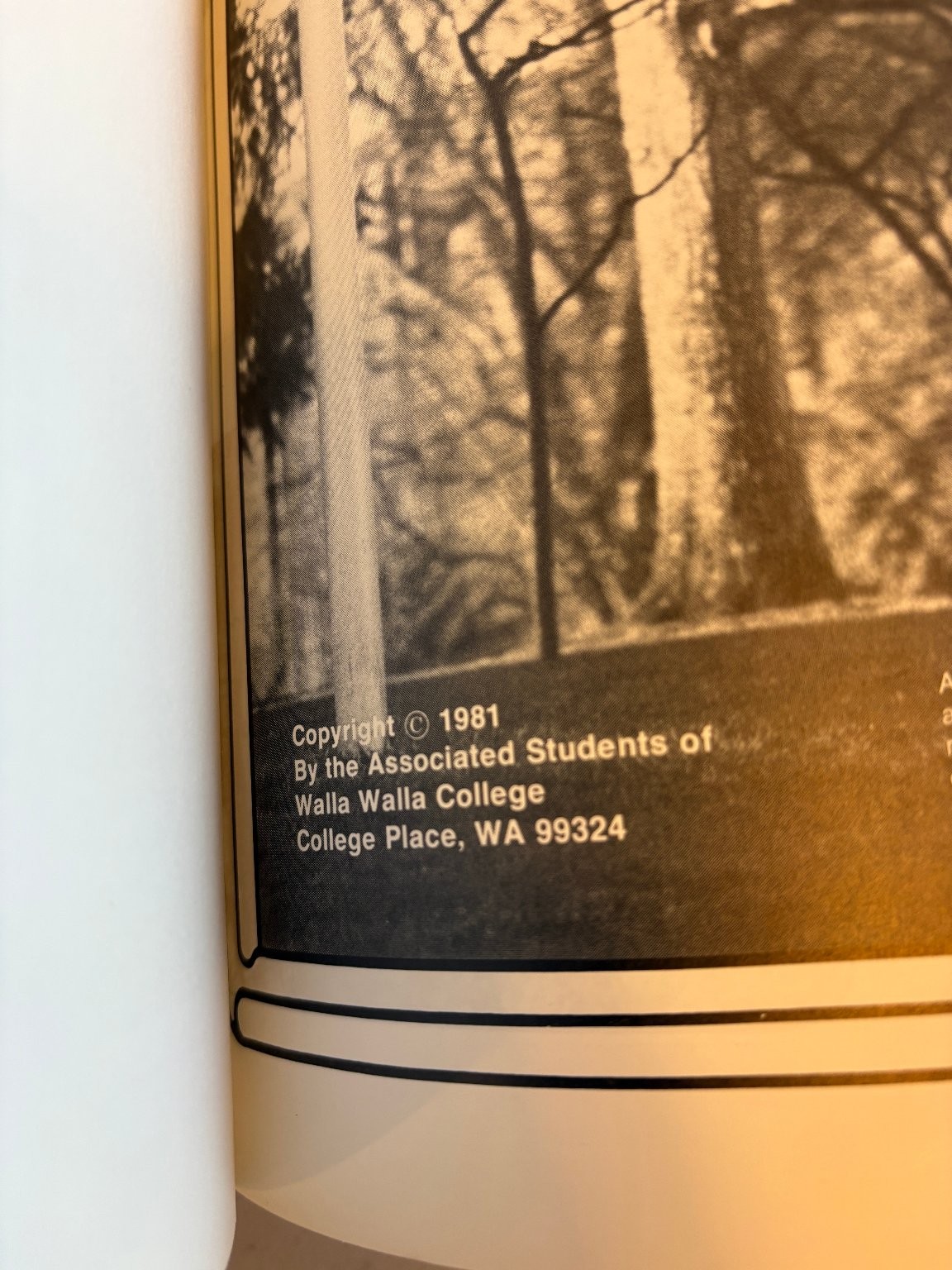 Mountain Ash 1981 Walla Walla College Yearbook Annual