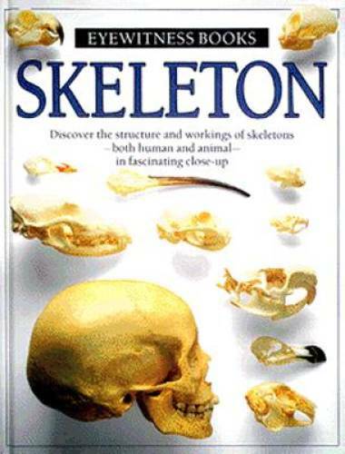 Skeleton (Eyewitness Books) – Hardcover By Parker, Steve – GOOD