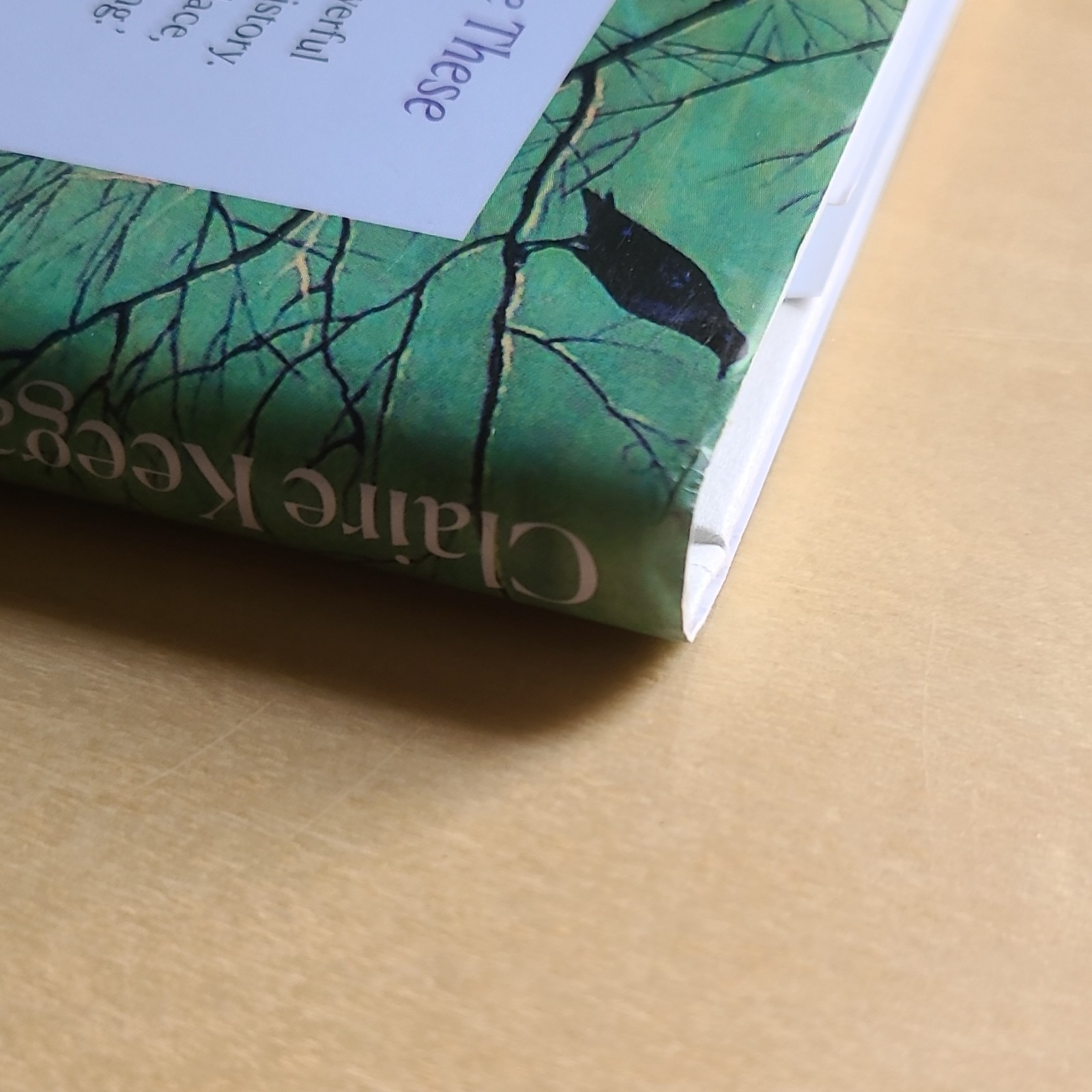 Irish Literature Bundle: Small Things Like These & Amongst Women