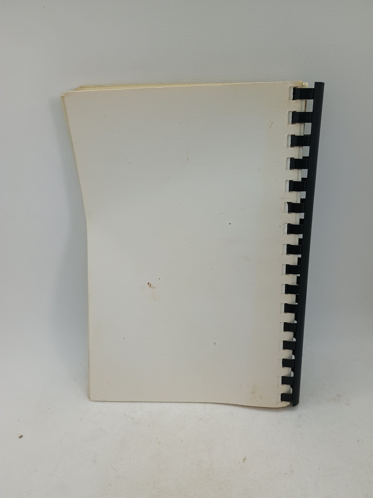 Our Favorite Recipes St Paul’s Lutheran Church Michigan 1982 vintage 200 Pages