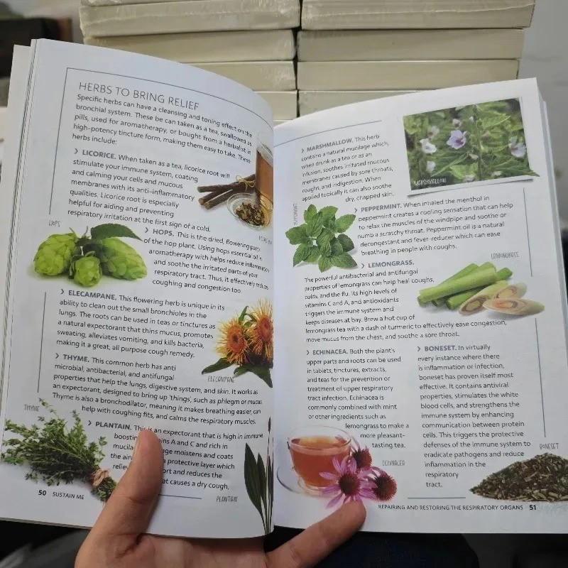 Sustain Me Book – Barbara O’Neill’s New Book Sealed In Hand – Free shipping Usa