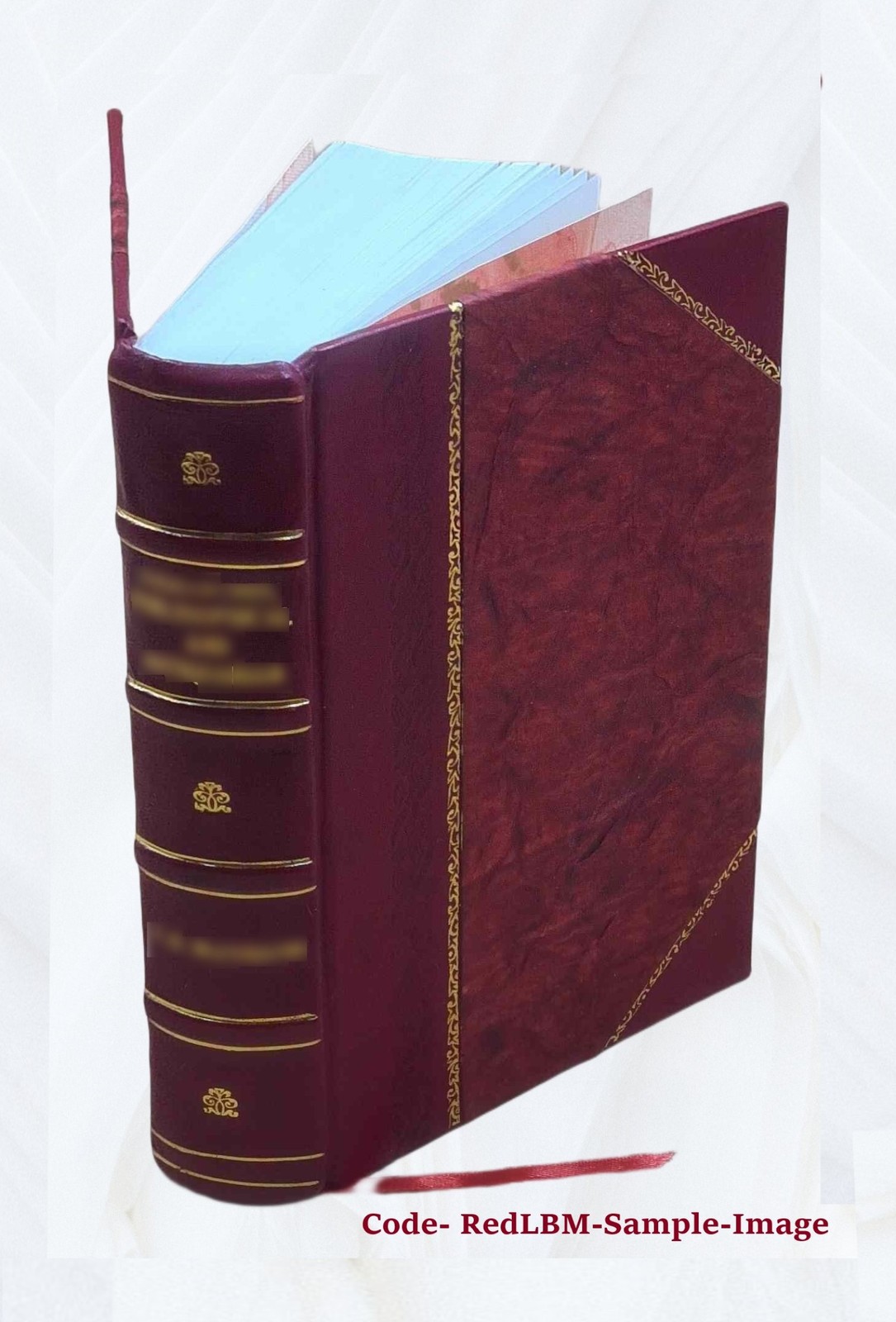 One hundred years of progress 1895 [Leather Bound]