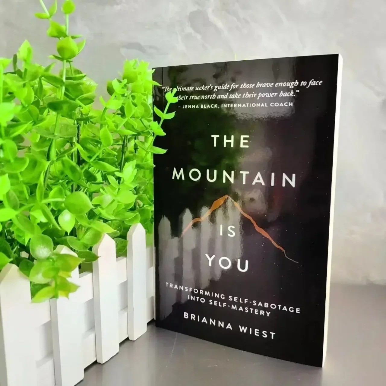 The Mountain Is You: Transforming Self-Sabotage into Self-Mastery Mindset Guide