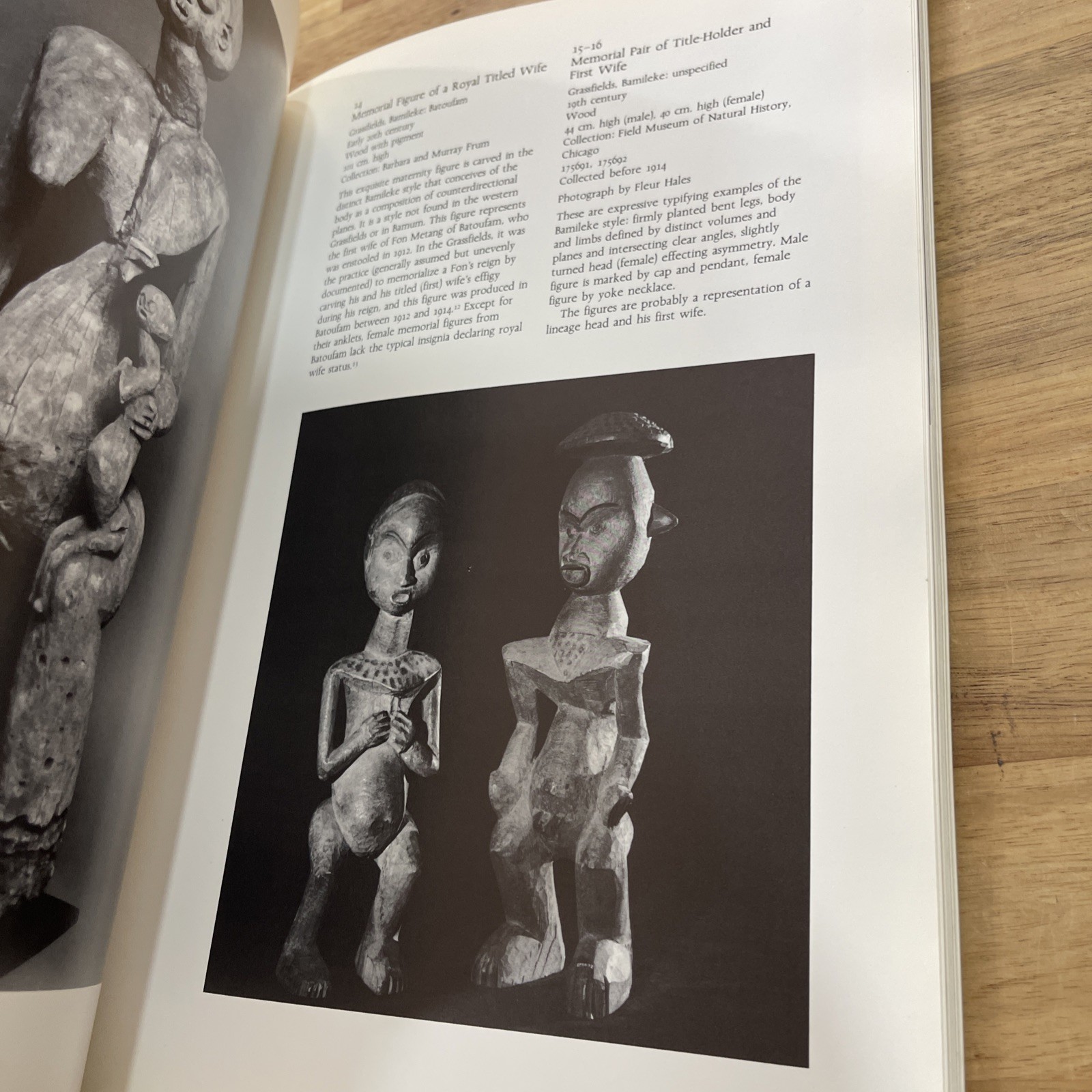 The Art of Cameroon Smithsonian 1984 Exhibition Catalog African Art Hardcover