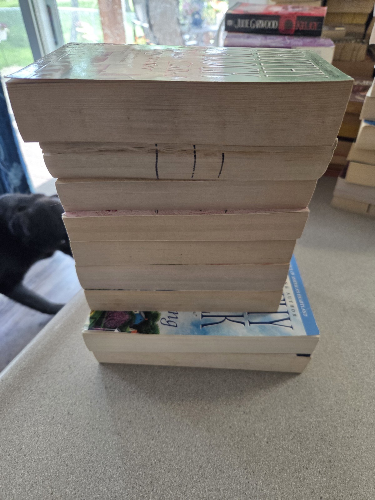 Dorothy Garlock Lot Of 9 Books- 2 Are 2-in-1 =11 Stories Paperback Romance